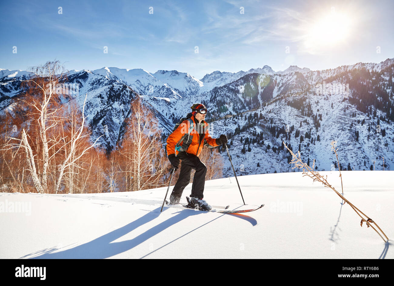 Man Skifahren auf frischen Pulverschnee im Wald, in den Bergen in der Nähe von Almaty, Kasachstan Stockfoto