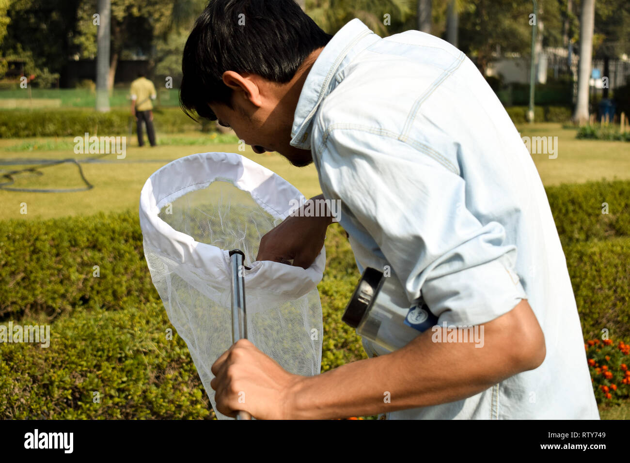 Junger Mann entomologe Sammeln von Insekten mit Hilfe eines Insekts net oder Wischen net für seine Insekt Probenentnahme während einer hellen Sommer Stockfoto