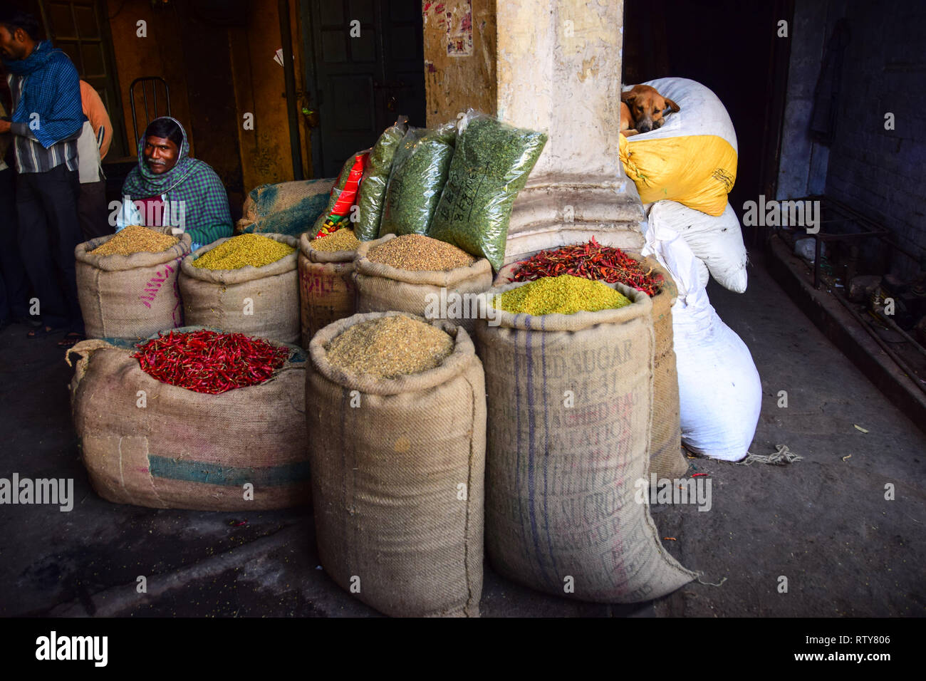 Indian Spice Trader und Hund, khari Baoli, belebten Indischen Großhandel Spice Market, Old Delhi, Indien Stockfoto