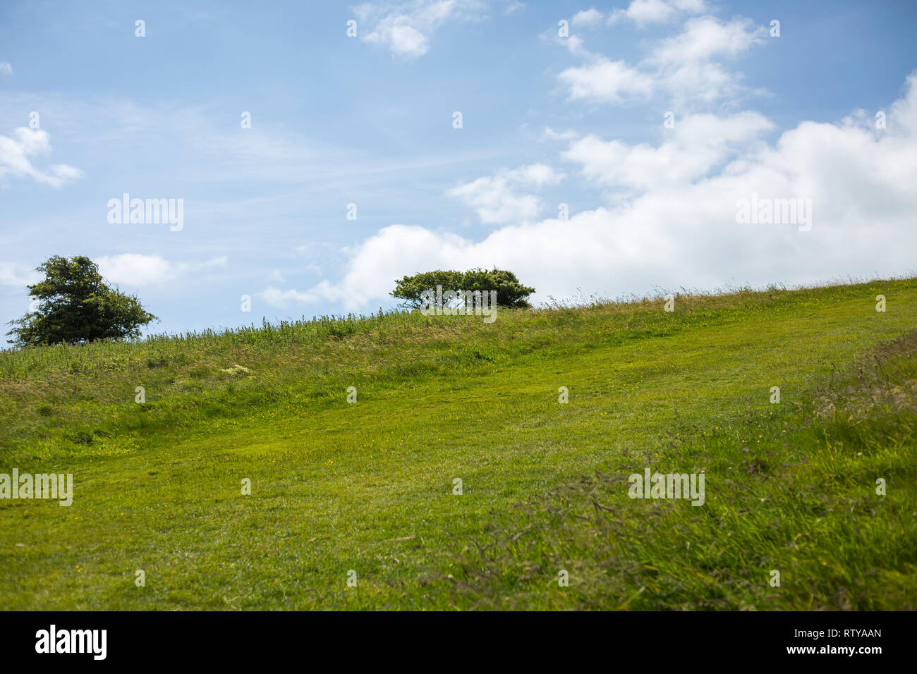 Beachy Head in der Nähe von Eastbourne England Stockfoto