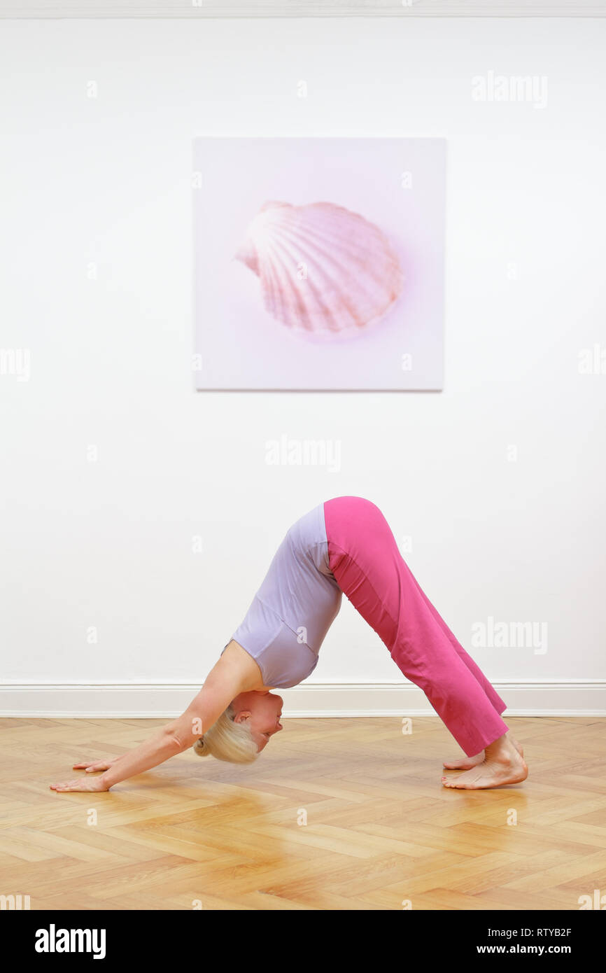 Ältere Frau mit grauen Haaren Yoga Übung zu Hause vor einer weißen Wand mit Bild, asana nach unten schauender Hund Stockfoto