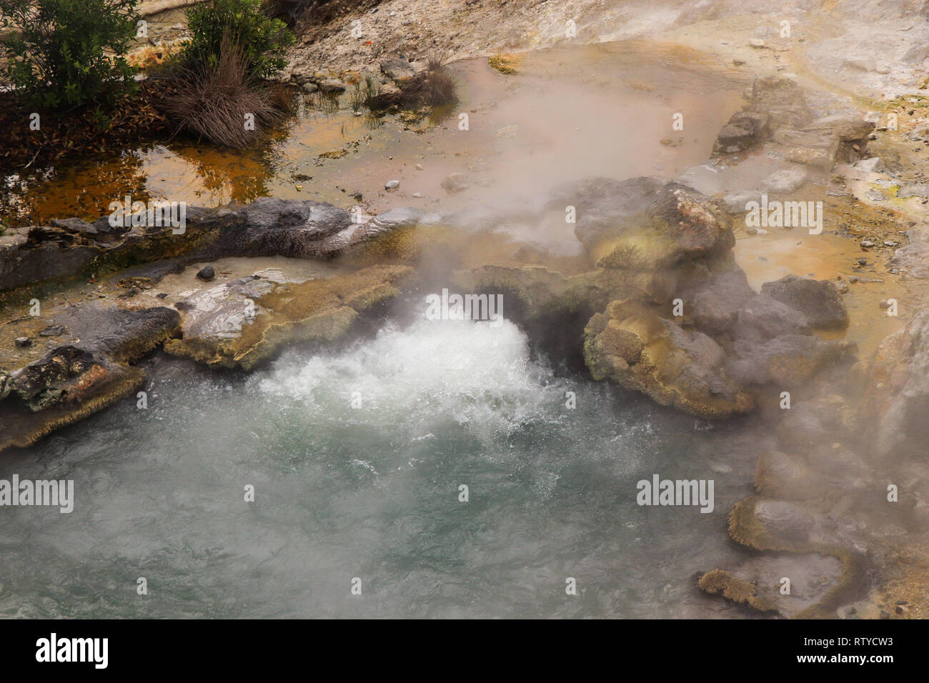 Rauchen fumarole und Quellwasser in geothermischen Bereich Stockfoto