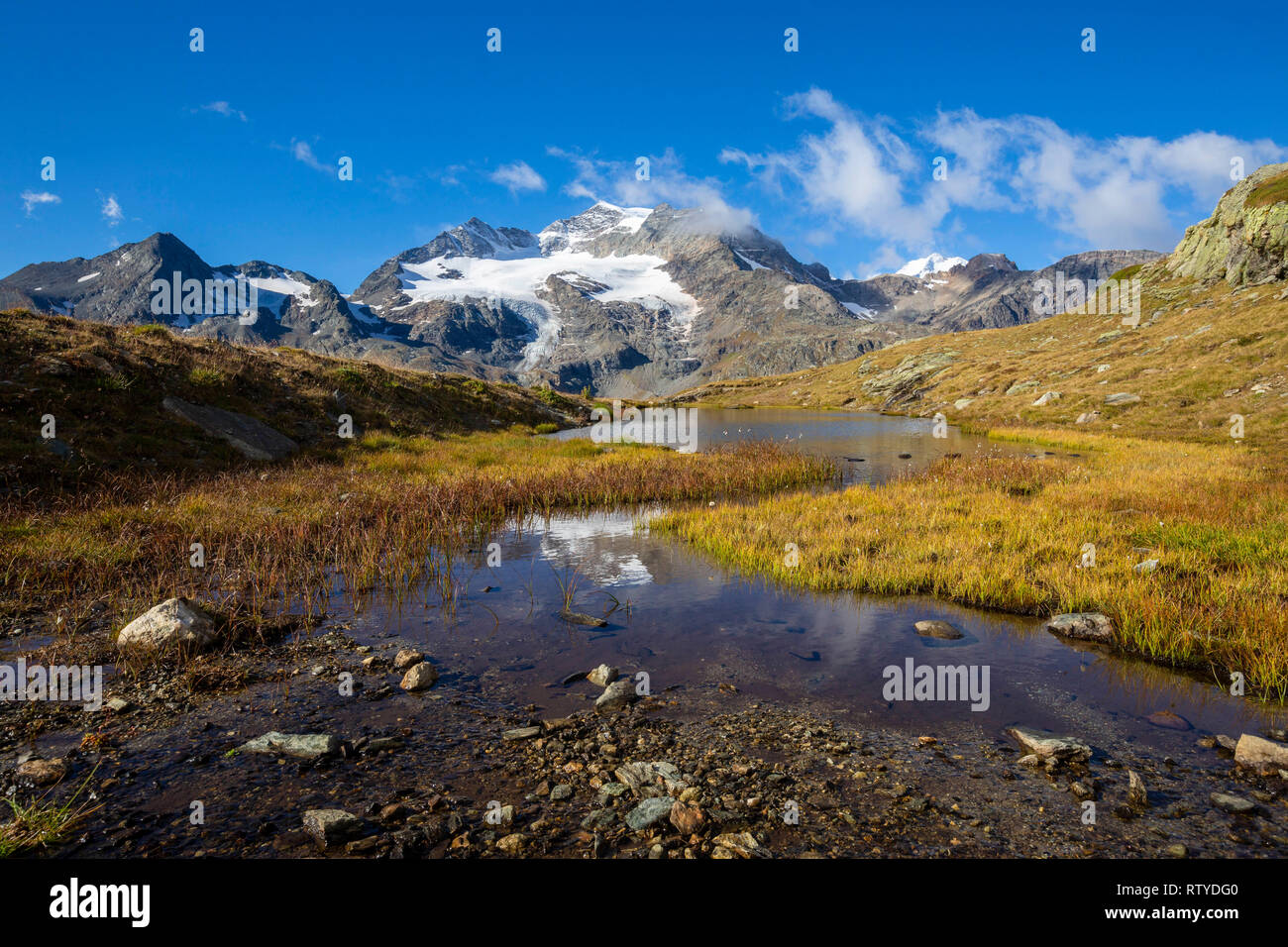 Piz Cambrena, Val Dal Bugliet, Berninapass, Kanton Graubünden, Engadin, Schweiz Stockfoto