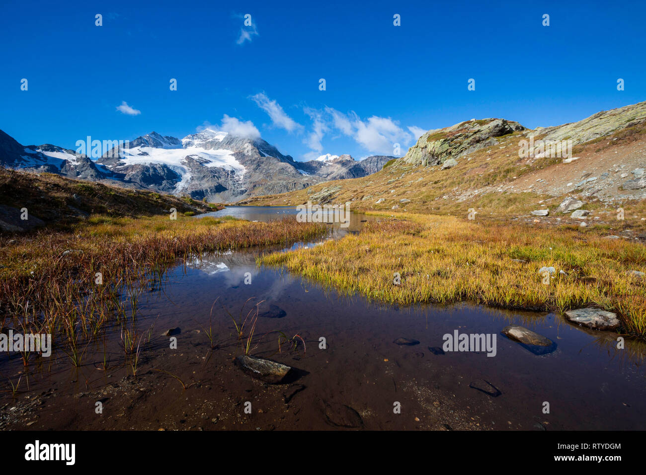 Alpinen See am Fuß des Piz Cambrena, Val Dal Bugliet, Berninapass, Kanton Graubünden, Engadin, Schweiz Stockfoto
