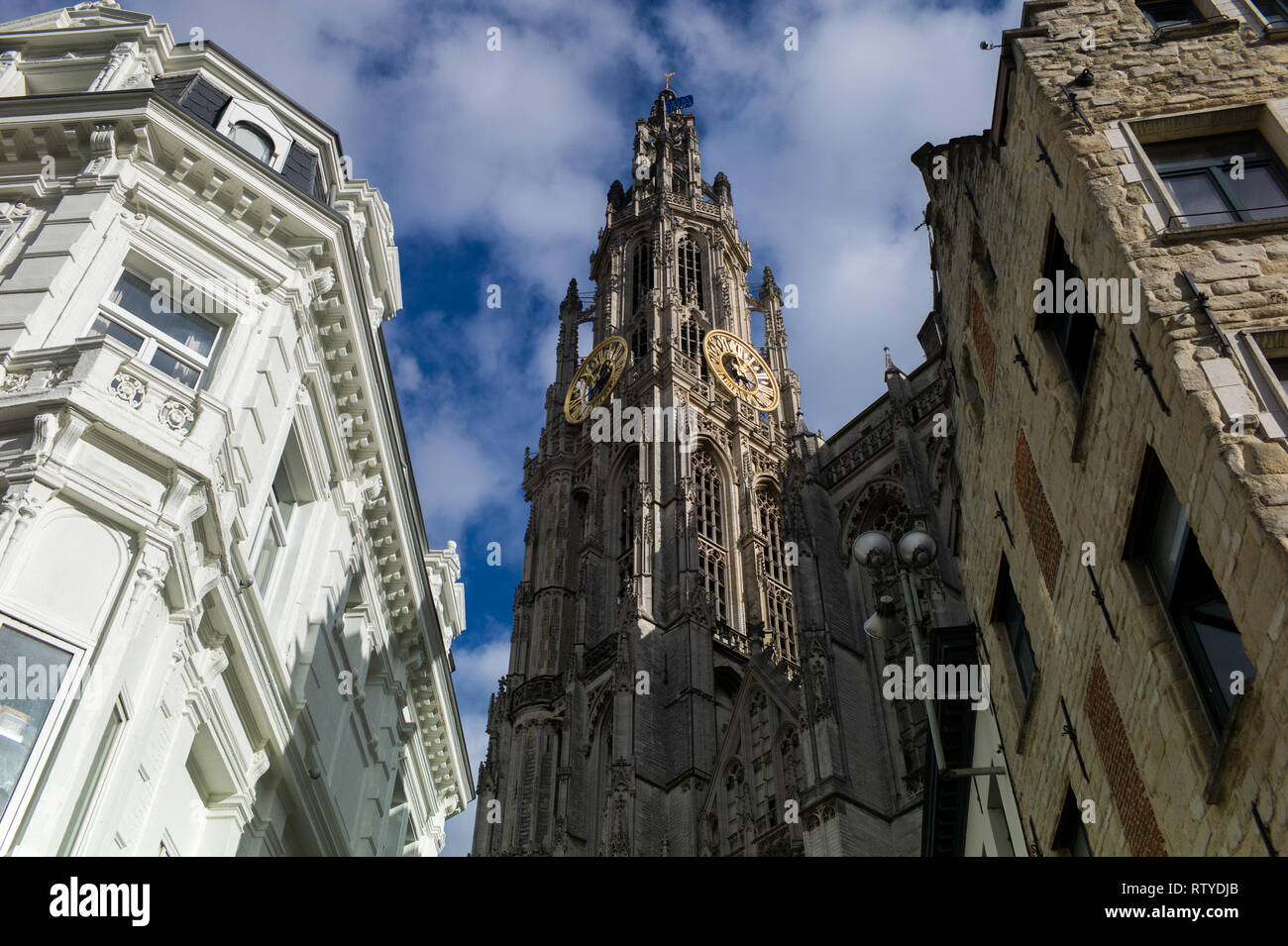 Blick auf den Turm der Kathedrale Unserer Lieben Frau, Antwerpen, Belgien Stockfoto
