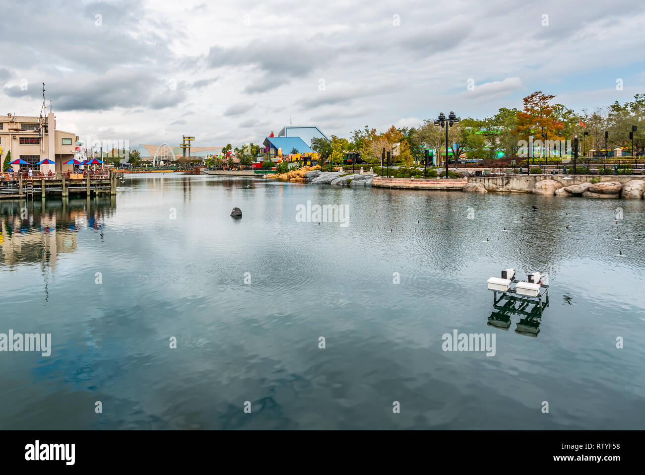 ORLANDO, Florida, USA - Dezember, 2018: gelbe Bäume mit Reflexion im Wasser in den Universal Studios Florida Stockfoto