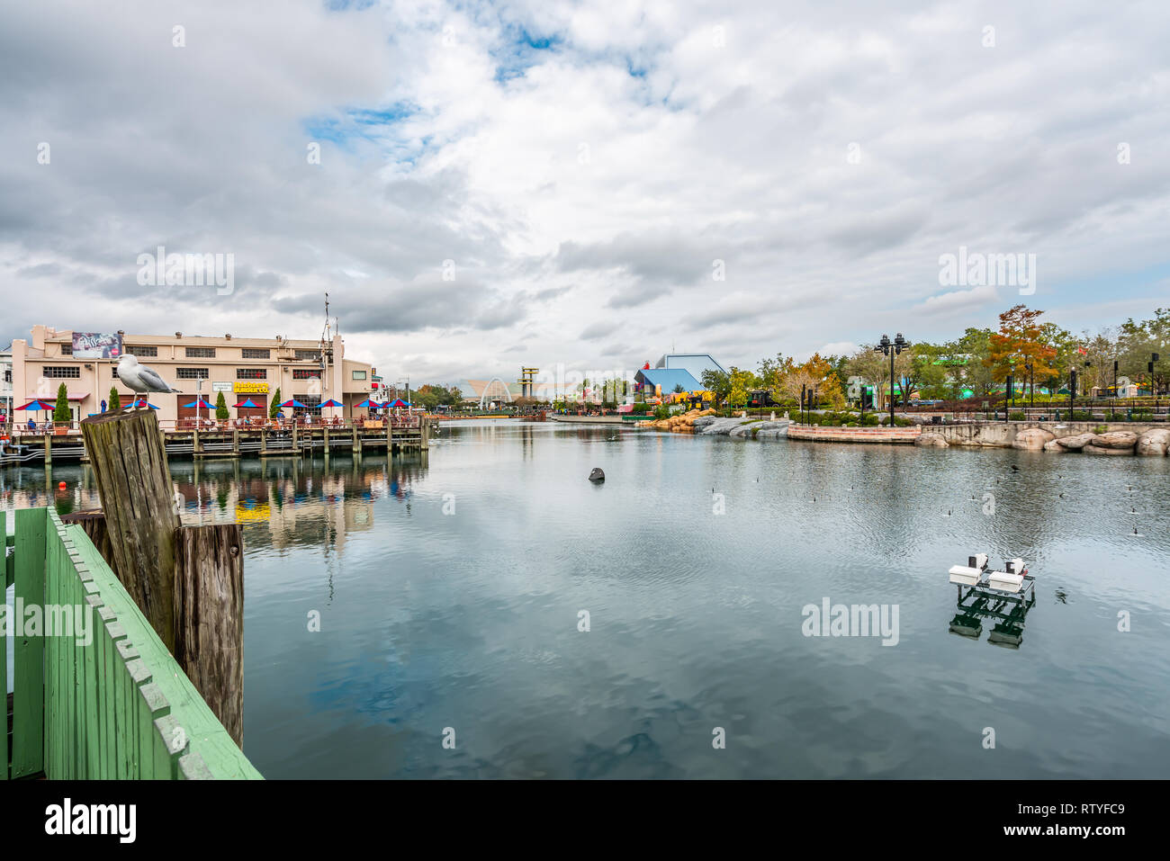 ORLANDO, Florida, USA - Dezember, 2018: gelbe Bäume mit Reflexion im Wasser in den Universal Studios Florida Stockfoto