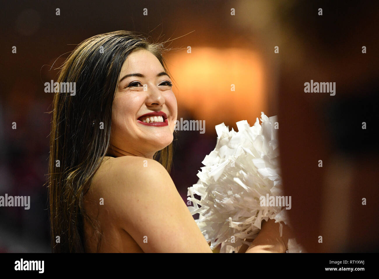 Philadelphia, Pennsylvania, USA. 3 Mär, 2019. Der Tempel Eulen Diamant Edelsteine während des Amerikanischen Athletic Conference Basketball Spiel am Liacouras Center in Philadelphia gespielt. Tempel beat Tulane 80-69. Credit: Ken Inness/ZUMA Draht/Alamy leben Nachrichten Stockfoto