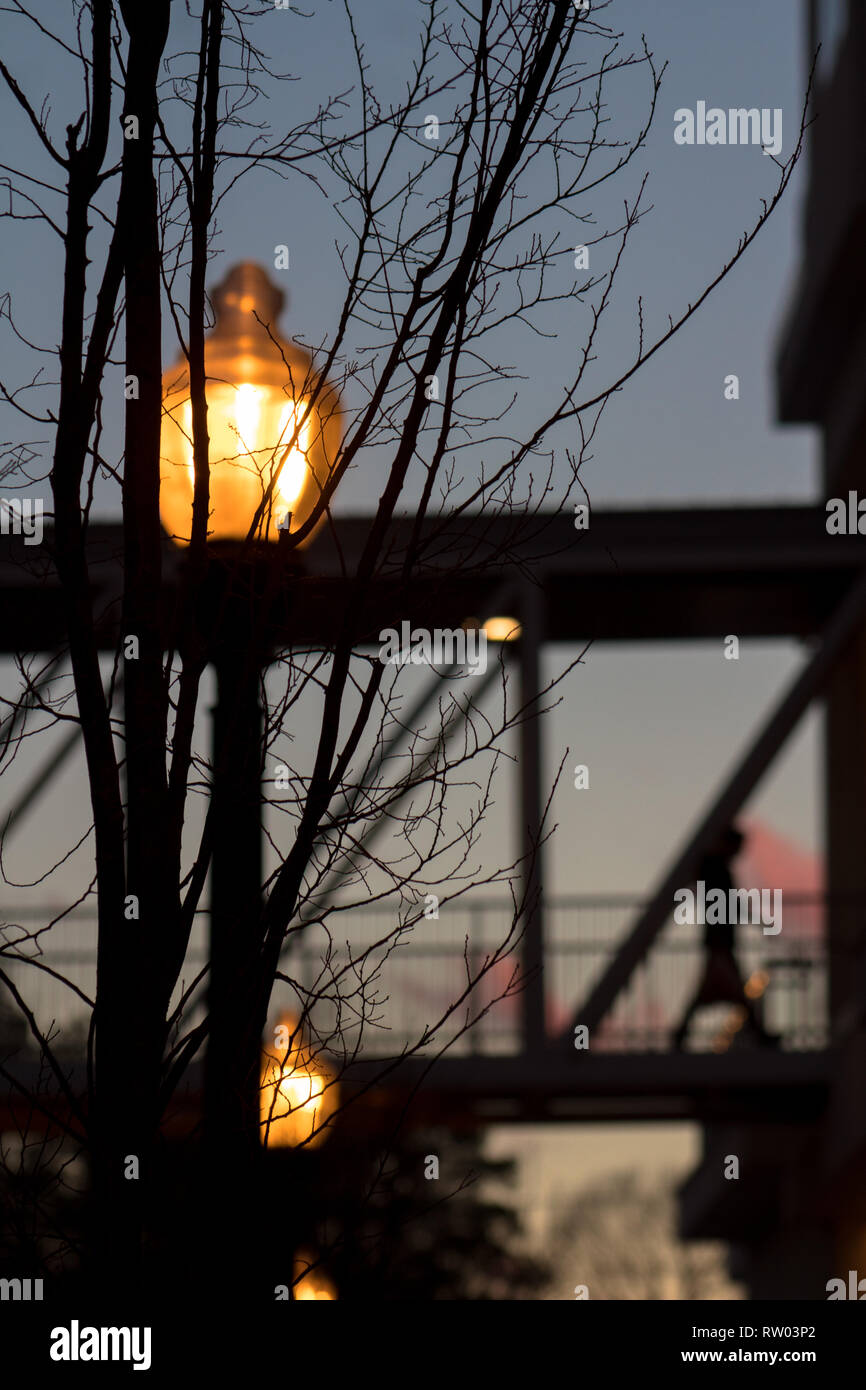 Der Sommer Nacht Stockfoto