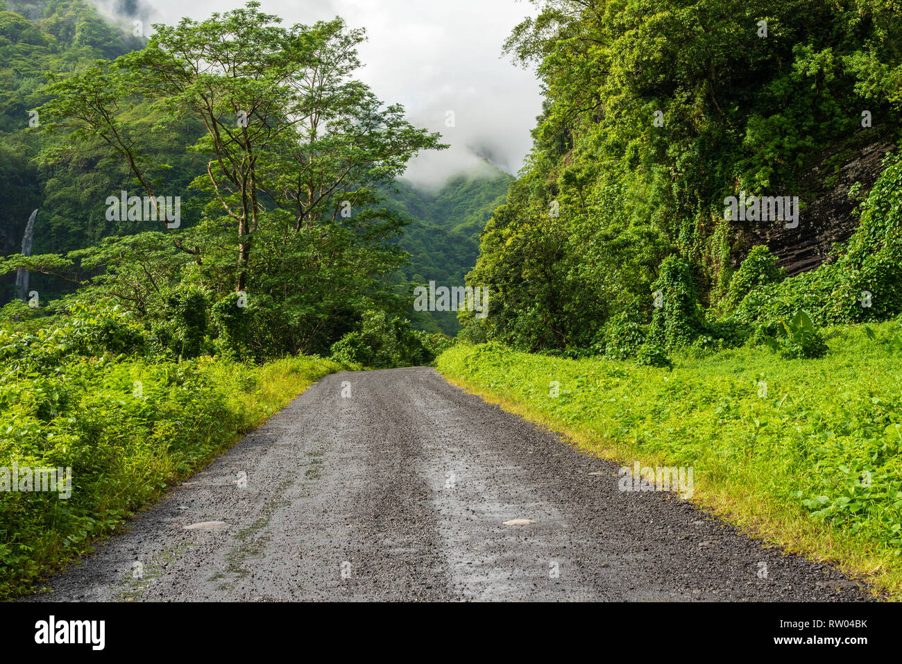 Eine primitive Straße schneidet eine grobe Weg durch den Tahitian Regenwald. Stockfoto