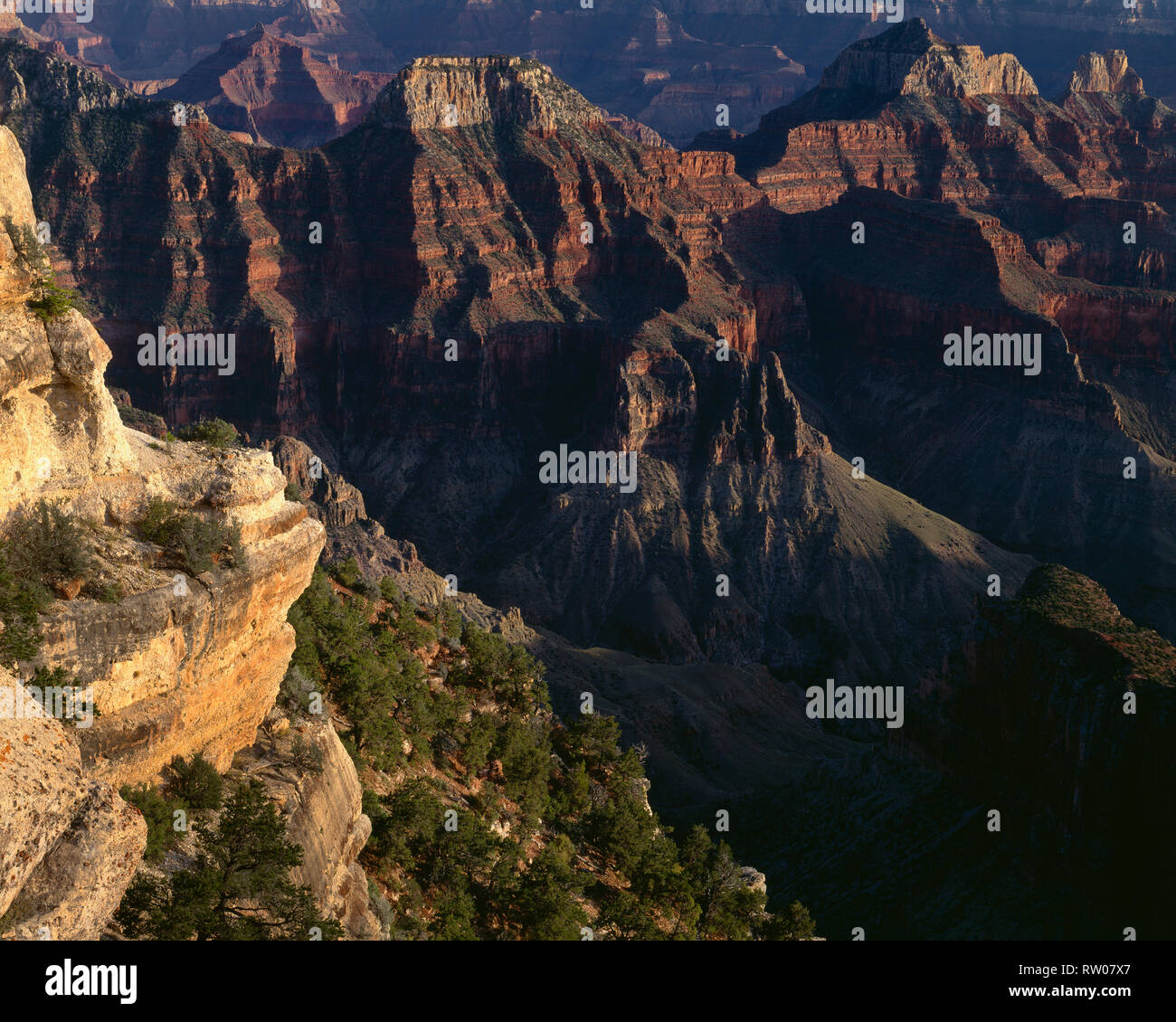 USA, Arizona, der Grand Canyon National Park, North Rim, abgeflachter Deva Tempel (Mitte) und Brahma Tempel (rechts) am Abend, von der Bright Angel Point. Stockfoto