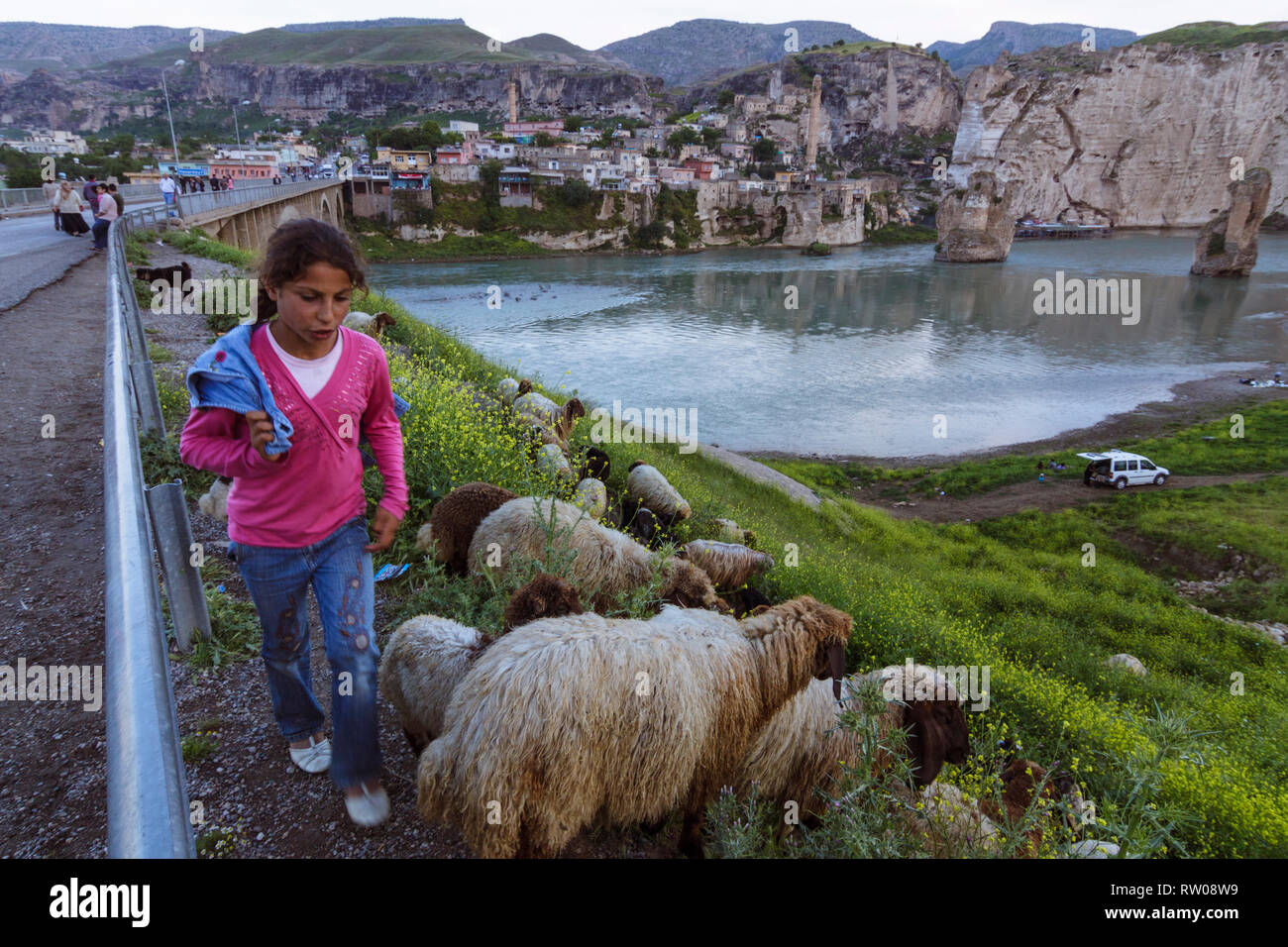 Hasankeyf, Provinz Batman, Türkei: ein Hirte Mädchen mit ihrer Herde von Schafen geht gegenüber der historischen Stadt Hasankeyf, deren Geschichte reicht Stockfoto