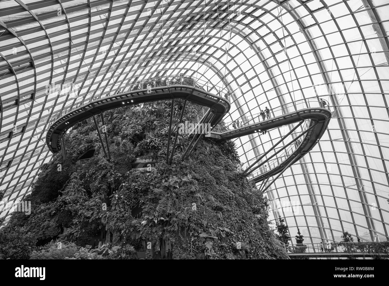 Cloud Forest Singapur Gärten durch die Bucht Stockfoto