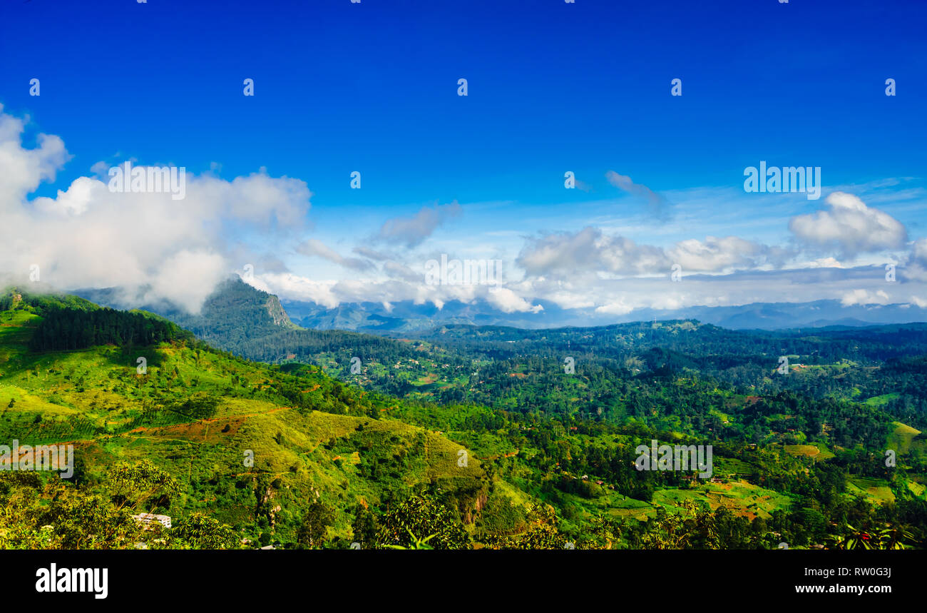 Blick auf grüne Berglandschaft neben Haputale, Sri Lanka Stockfoto