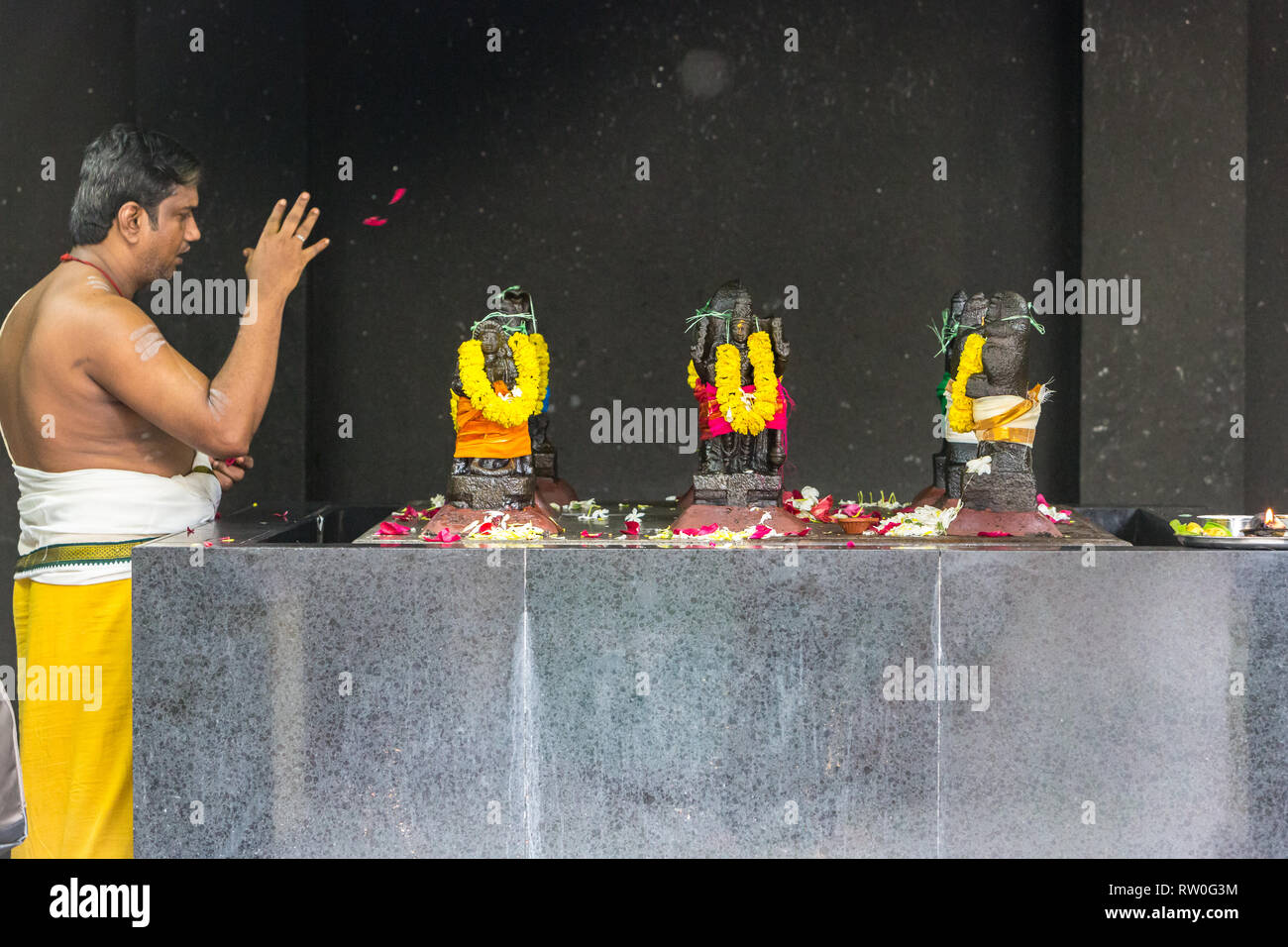 Priester Vollführung ritueller (wirft Rosenblätter) über Garlaned Gottheiten, Sri Mahamariamman Hindu Tempel, Kuala Lumpur, Malaysia. Stockfoto