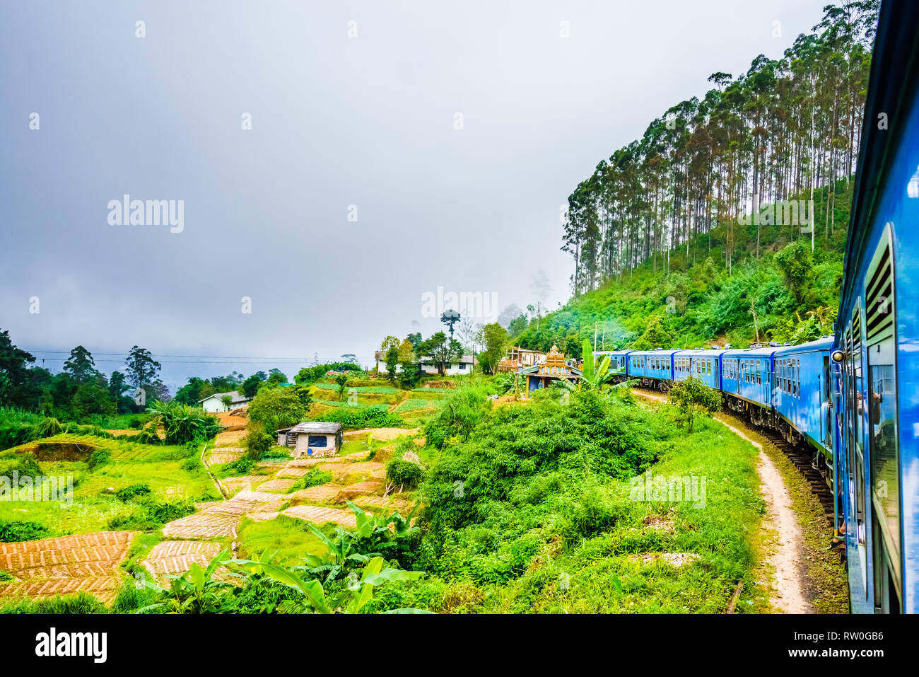 Zug in der Nähe von Ella, ausgeführt durch Kaffee Felder. Sri Lanka Stockfoto