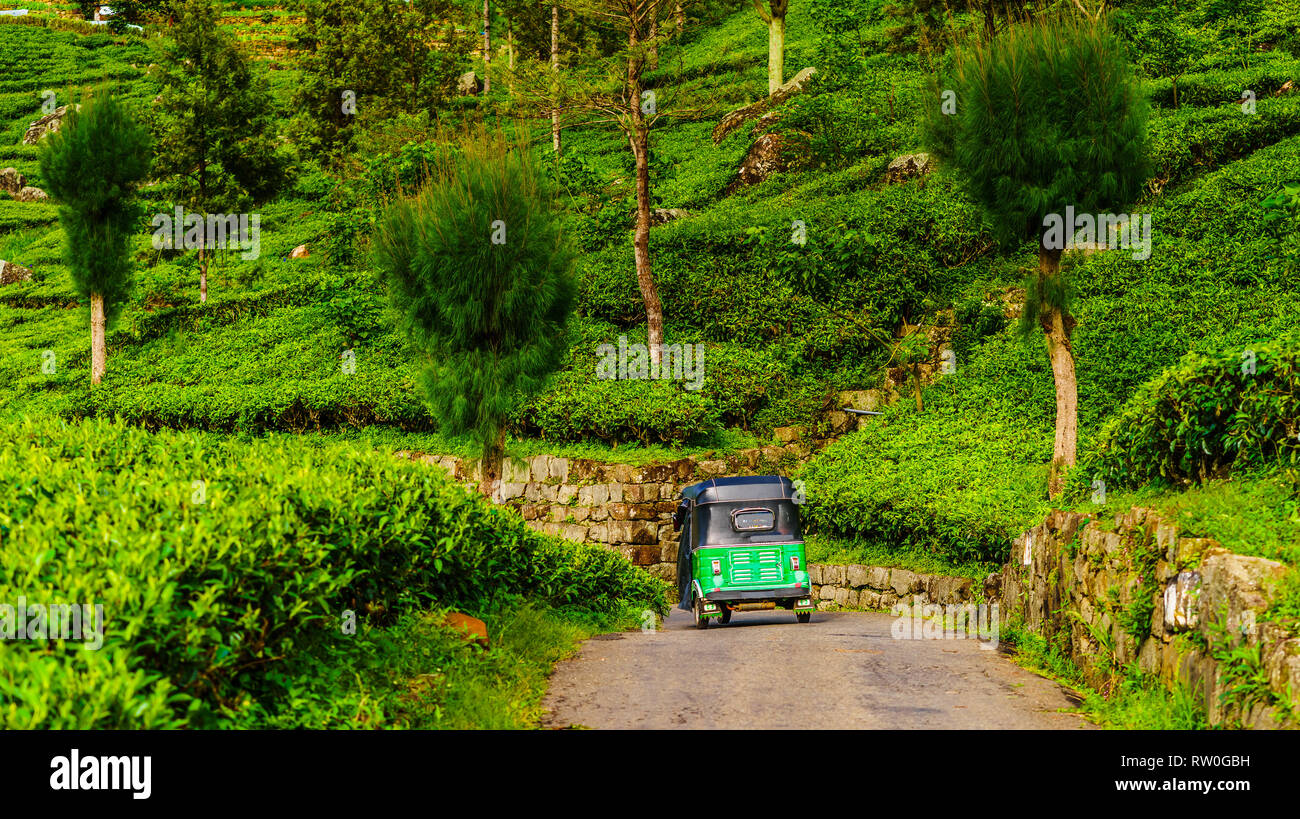 Blick auf rot Tuk Tuk auf dem Weg zum Tee Plantage in Haputale, Sri Lanka Stockfoto