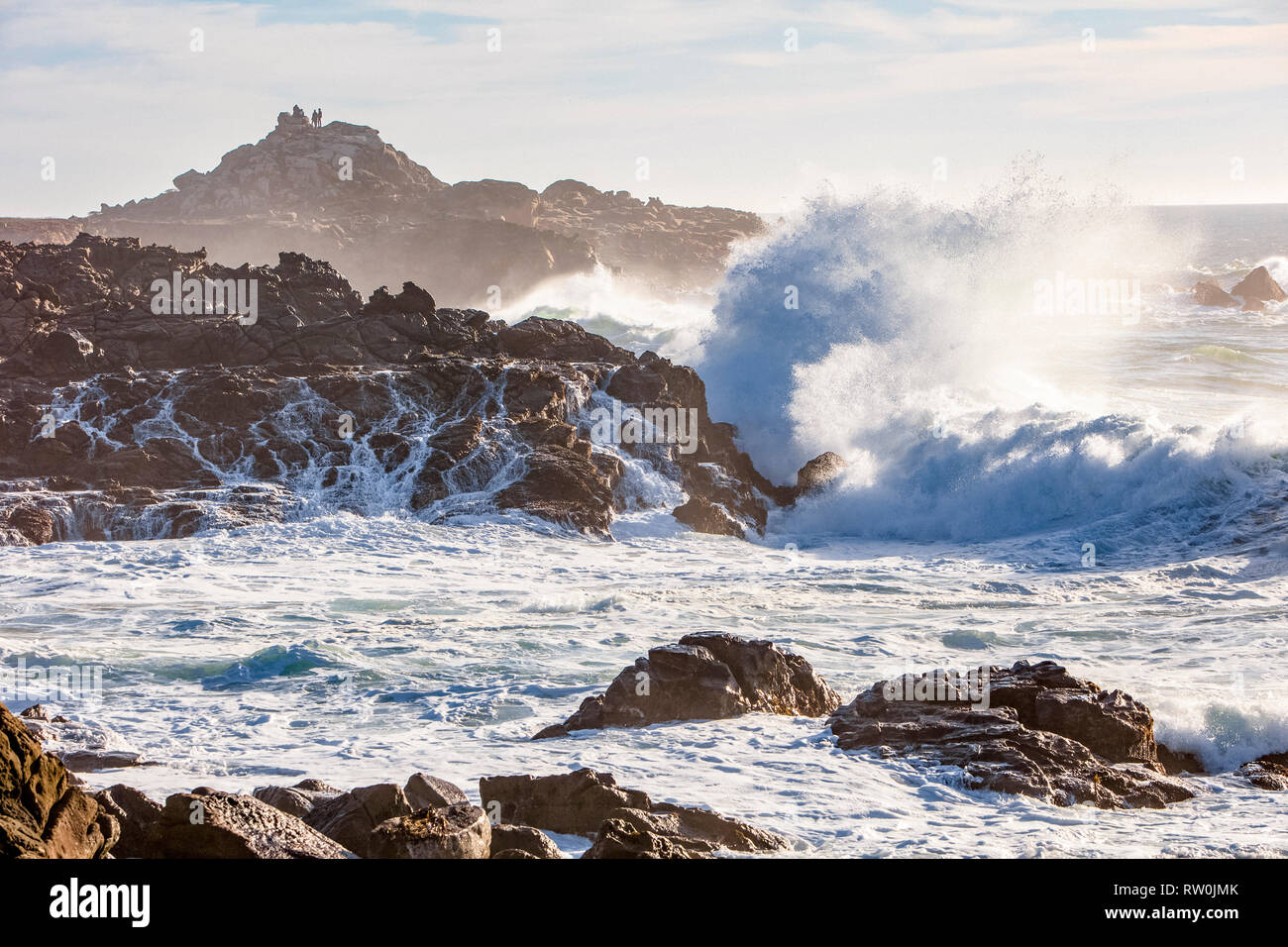 Das kalte Wasser des Pazifischen Ozeans, krachend gegen die felsige Küstenlinie in Sonoma, Kalifornien, USA, Pazifischer Ozean Stockfoto