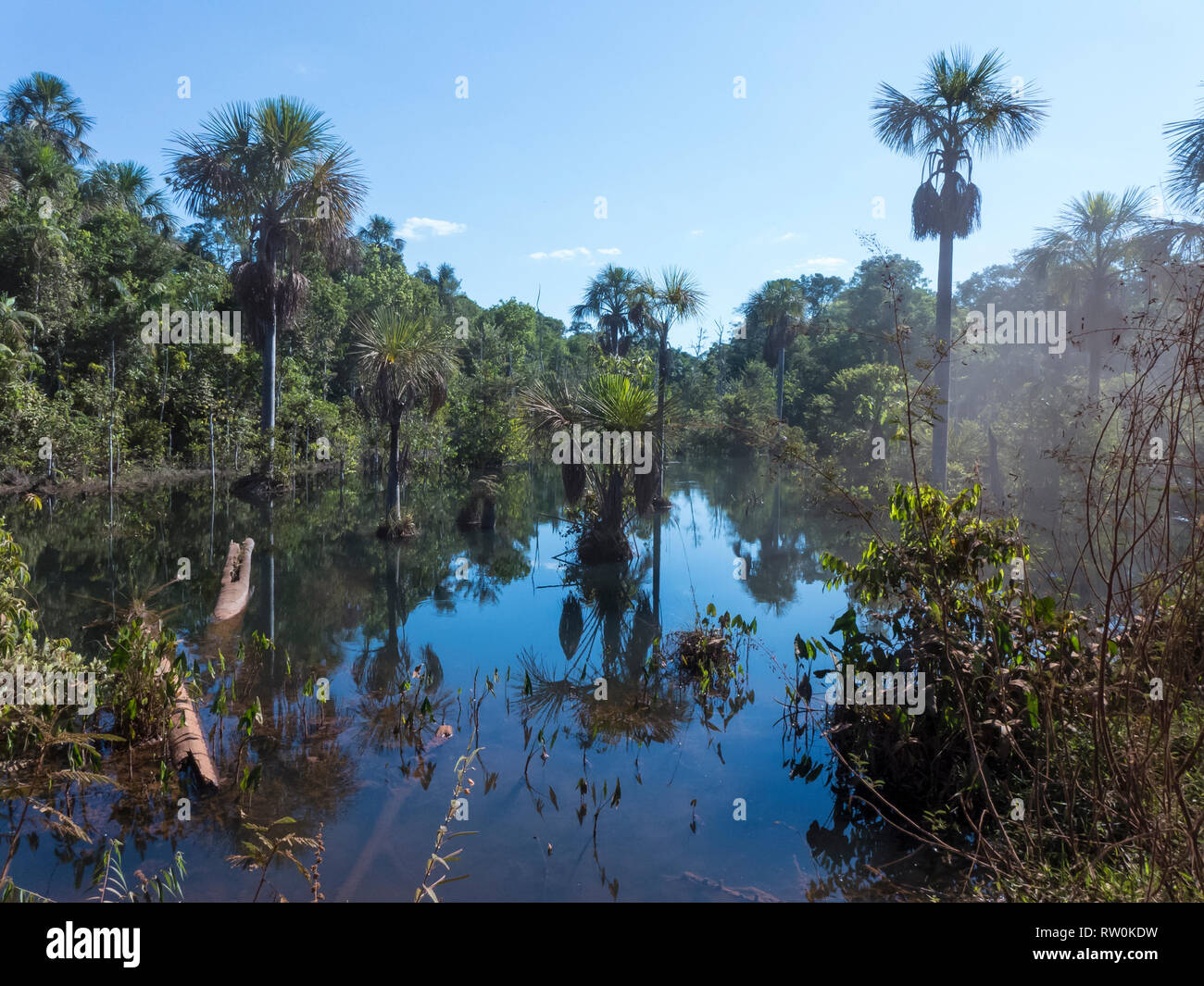 Mato Grosso, Brasilien. Amazon Wald und Wasser neben dem MT322/BR 80 Straße. Stockfoto