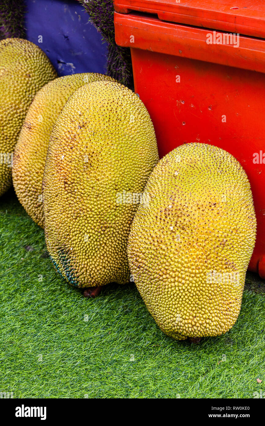 Jack Frucht, Kuala Lumpur, Malaysia. Stockfoto