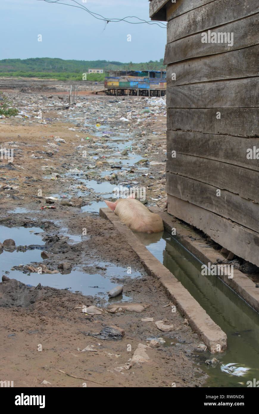Eine schmutzige Straße und einem hausschwein Festlegung im Schlamm in Elmina, Ghana Stockfoto