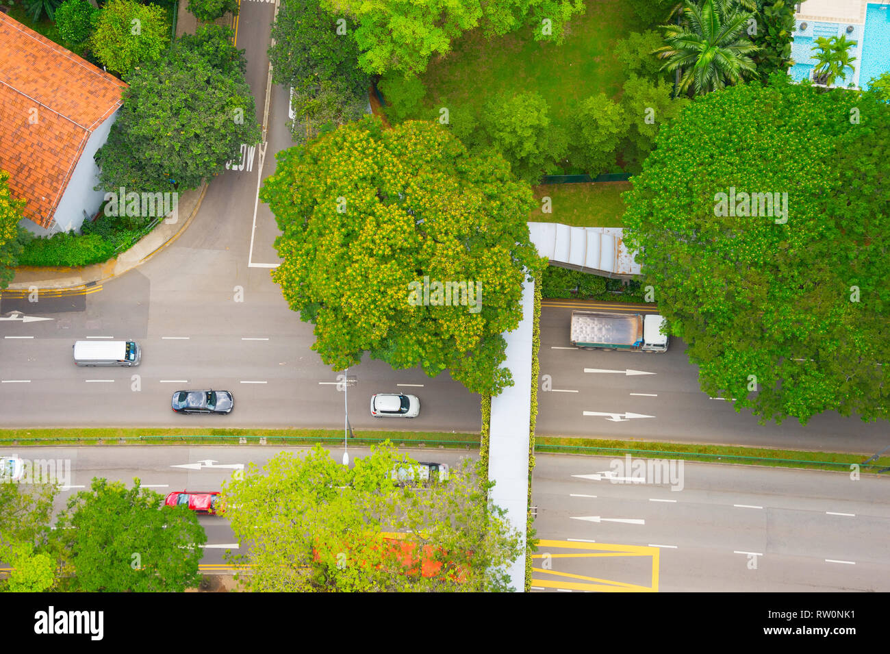 Draufsicht des PKW-Verkehrs auf der Kreuzung an der grünen Straße im Wohngebiet mit Haus und Pool, Singapur Stockfoto