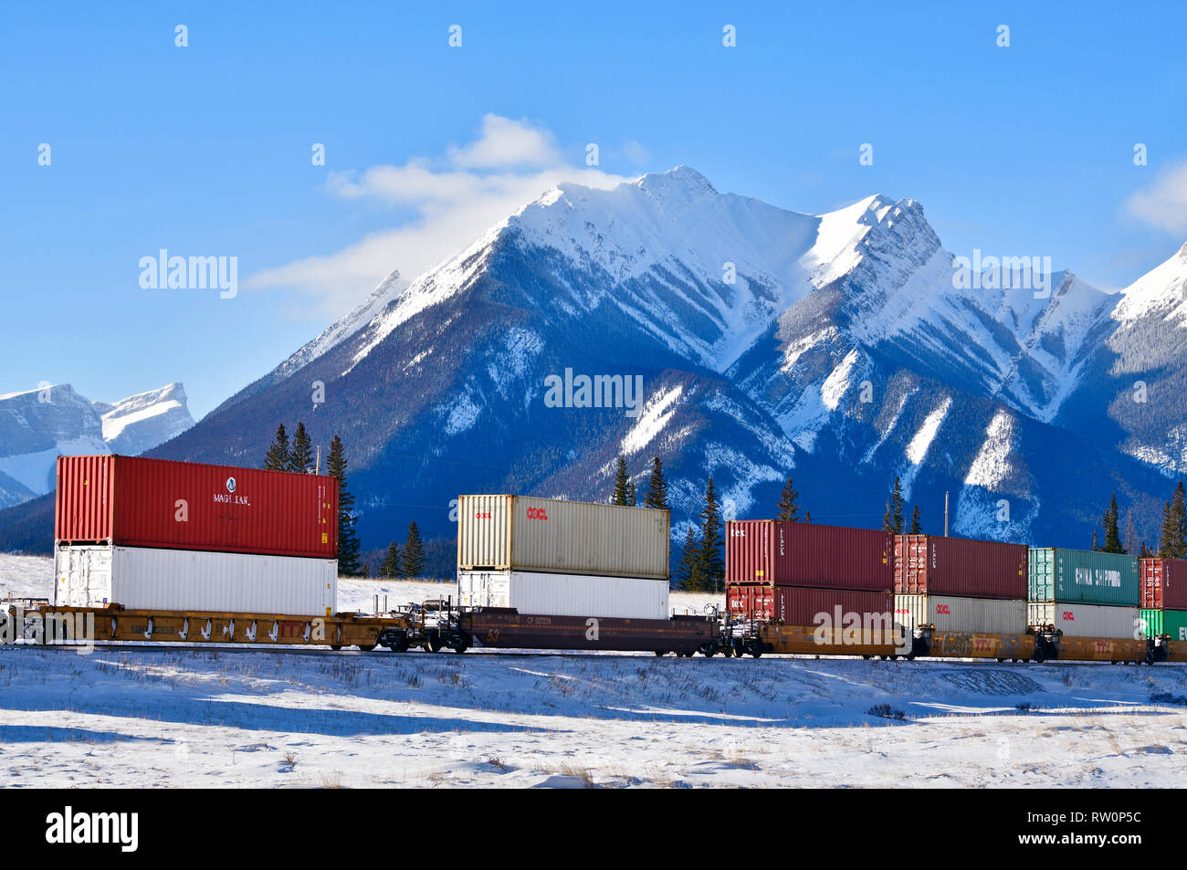 Ein kanadischer nationaler Güterzug, der eine Ladung von Containerautos durch den schneebedeckten felsigen Berg von Alberta Kanada schleppt. Stockfoto