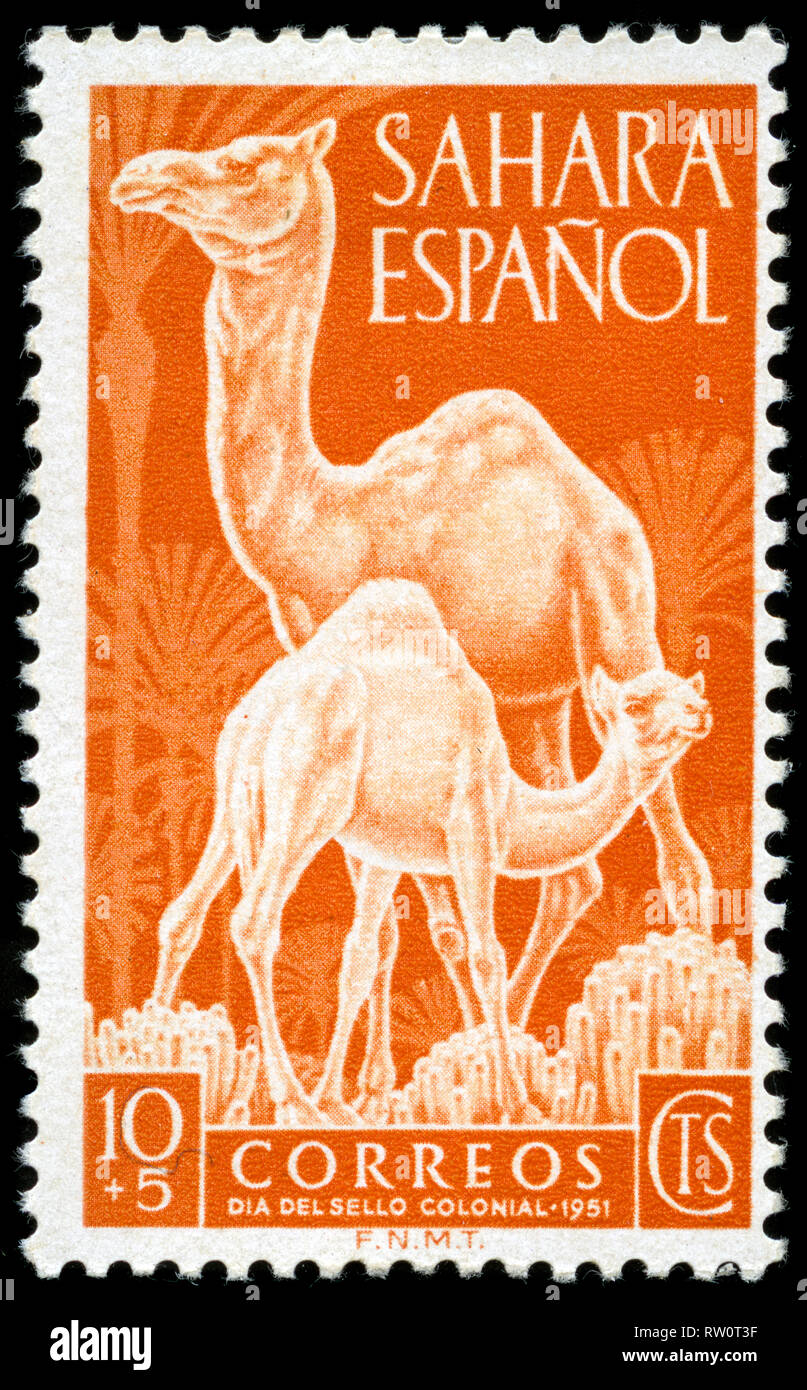 Briefmarke aus der ehemaligen Spanischen Sahara 1951 ausgestellt Stockfoto
