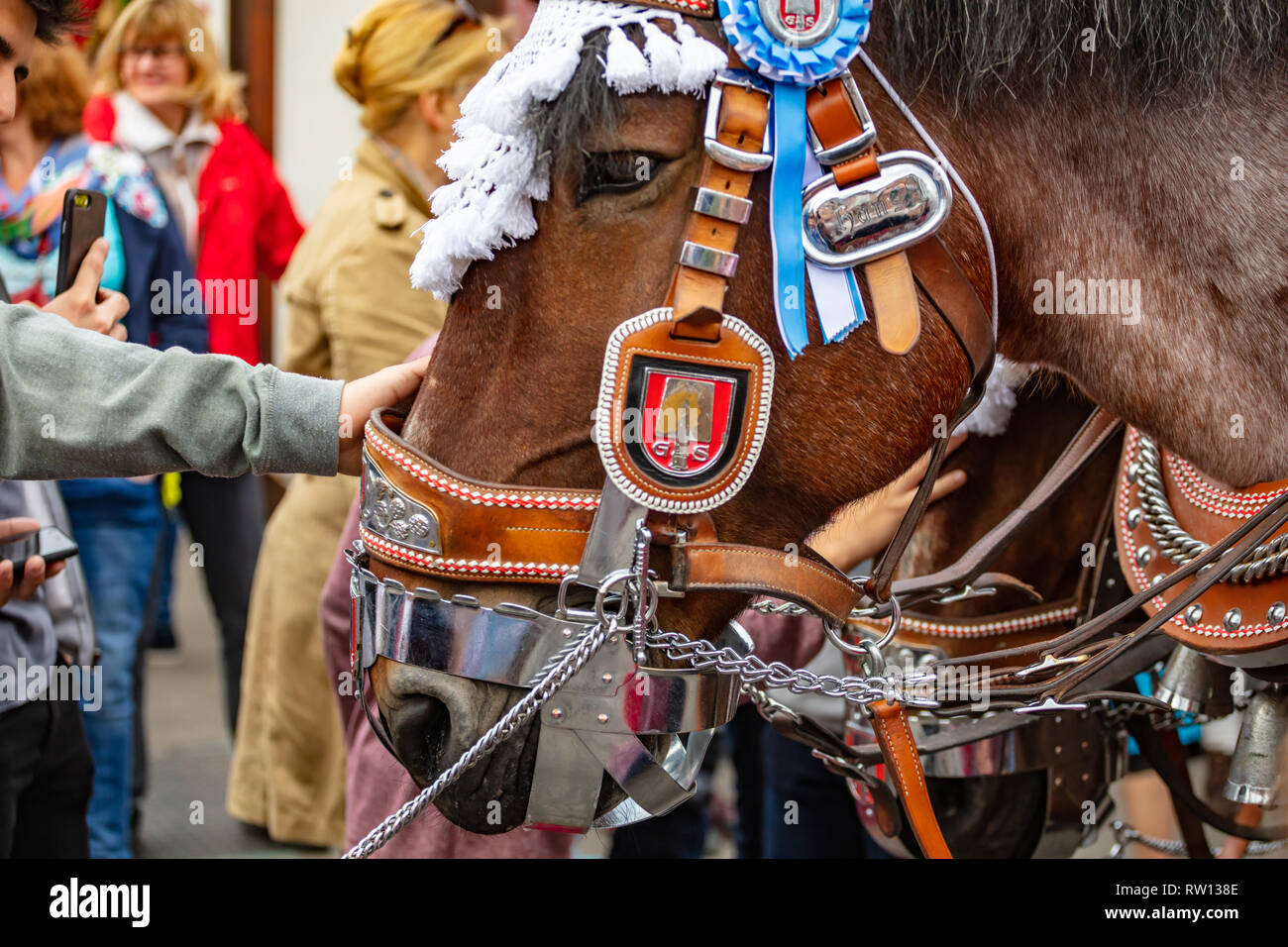 Oktober 7, 2018. München, Deutschland, Oktoberfest, Pferd dekoriert Kopf Nahaufnahme, Stockfoto