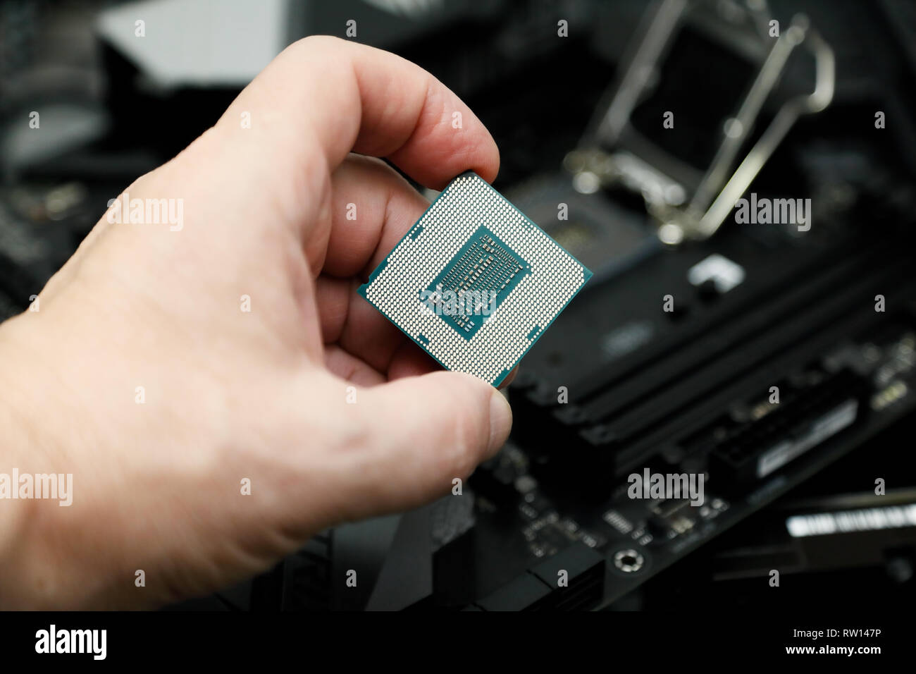 CPU vor dem Einbau in den CPU-Sockel auf dem Motherboard. Stockfoto