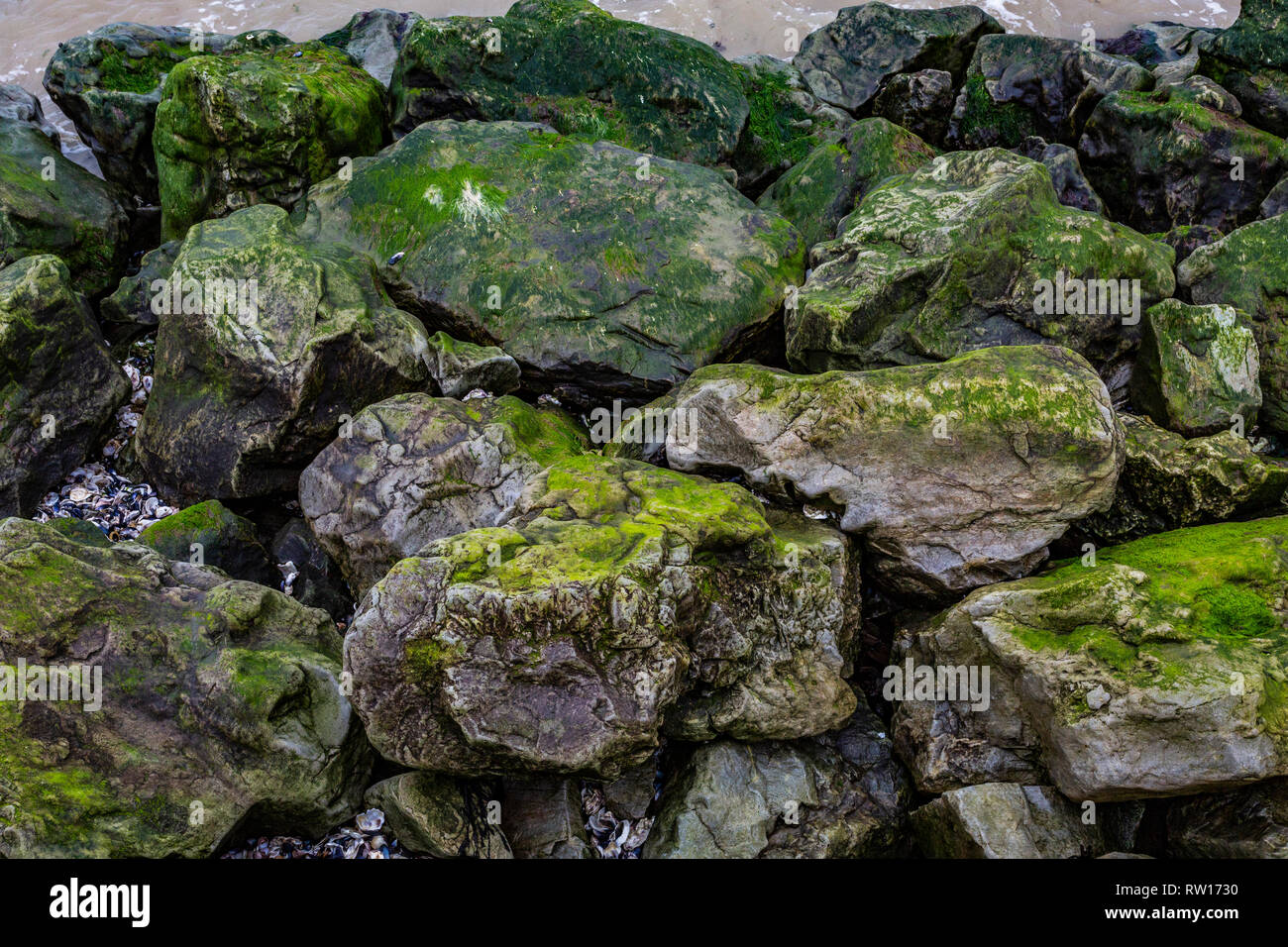 Epple Grenham bay Bay Stockfoto