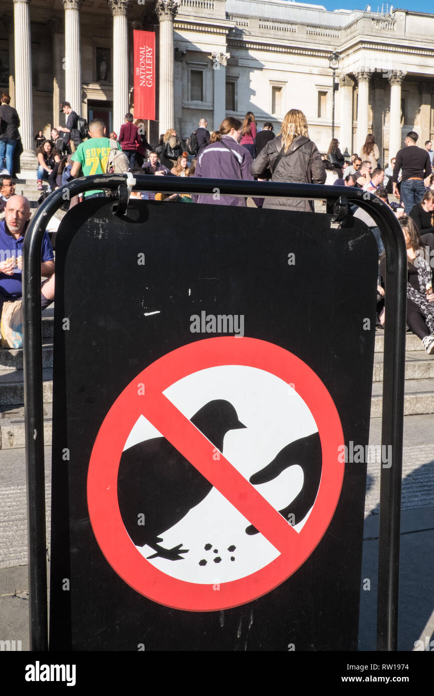 Tun, nicht, Feed, Tauben, Vögel, Schild, Schilder, at, beliebten, Tourist, Anziehungskraft, der Trafalgar Square, West End, London, England, Englisch, England, GB, Großbritannien, Stockfoto