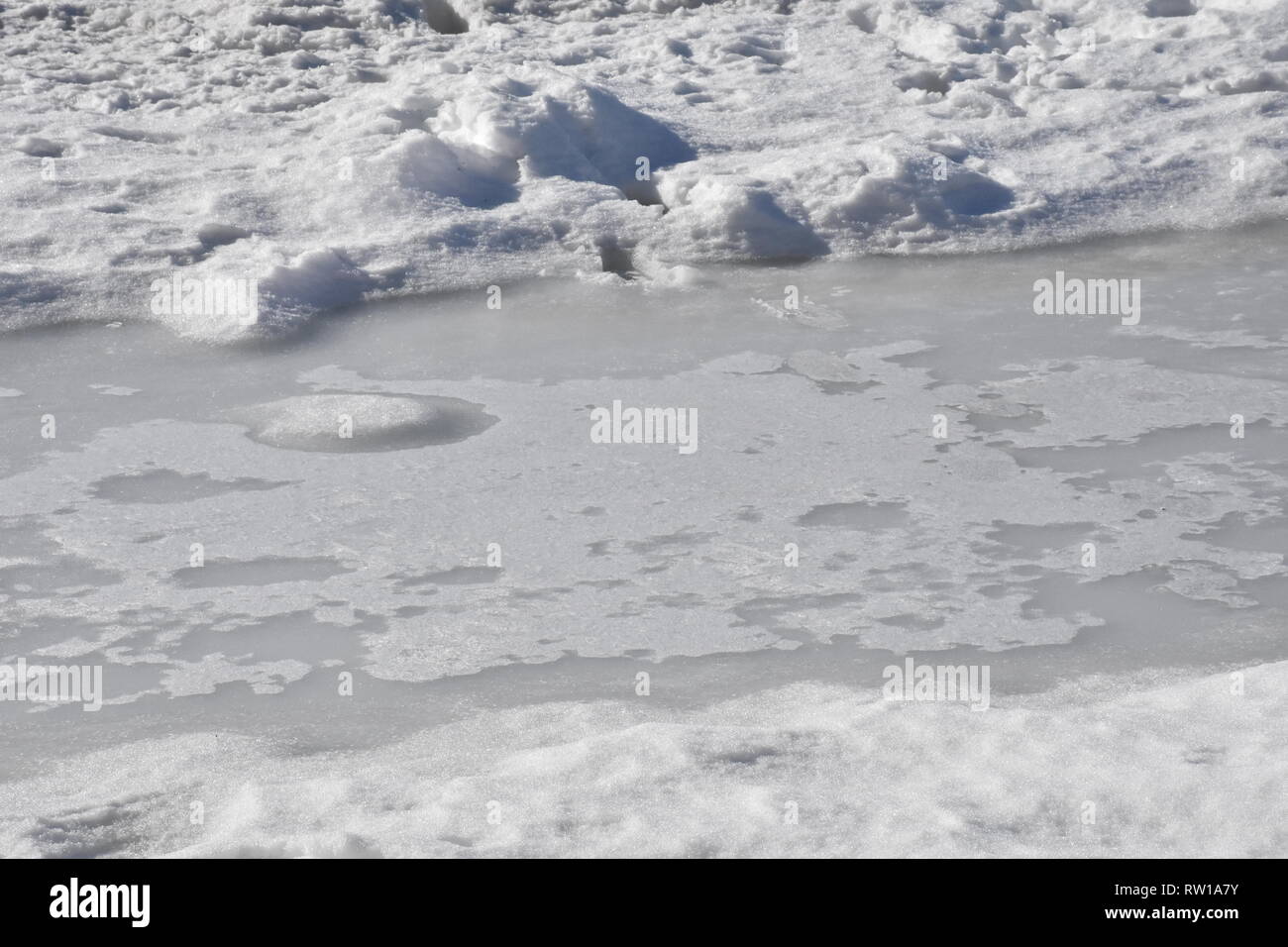 Schnee, Eis, Winter, Schneefall, Baum, Wiese, Gras, Schmelze, Schneeschmelze, Frühling, Wintereinbruch, Sturm, Schneesturm, Pfütze, Eis, vereist, Öst Stockfoto