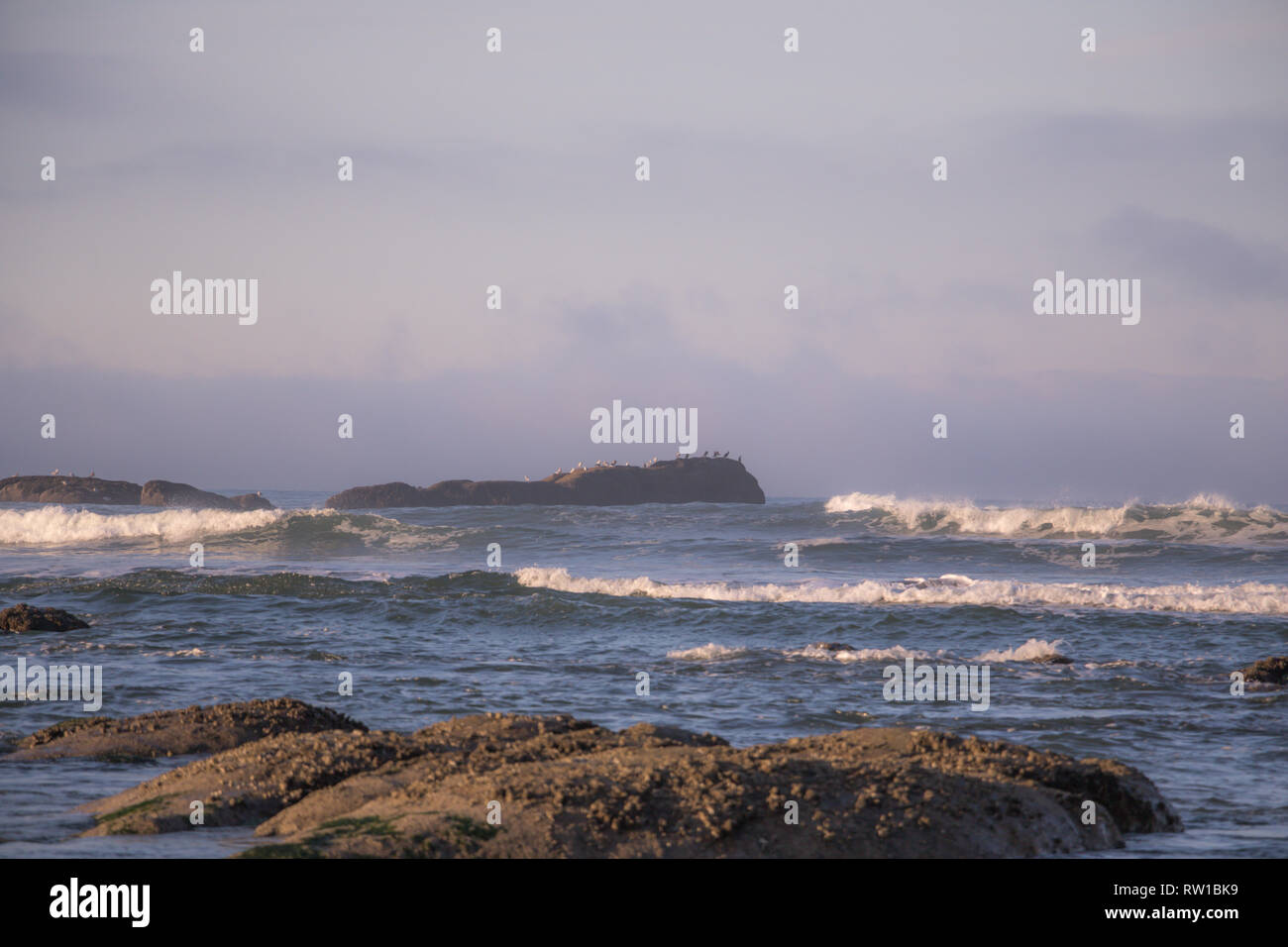 Reisen nach Olympic National Park zu einem wilden, weiten Wildnis der Natur von ihrer besten Seite. Der Pazifischen Küste bietet unberührte Sandstrände und felsige Ufer. Stockfoto