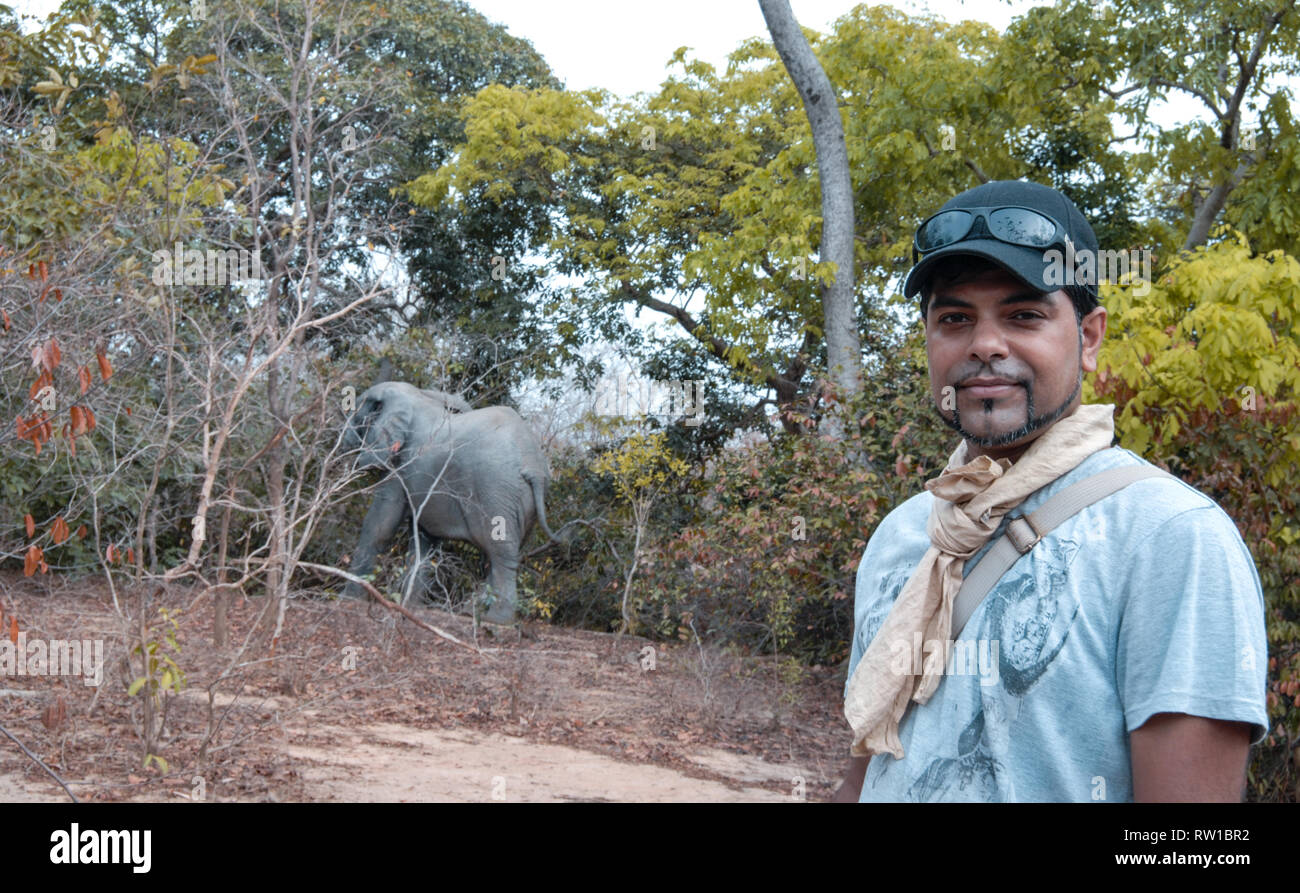 Ein Mann mit einem afrikanischen Busch Elefant (Loxodonta Africana) in Mole National Park posing Stockfoto