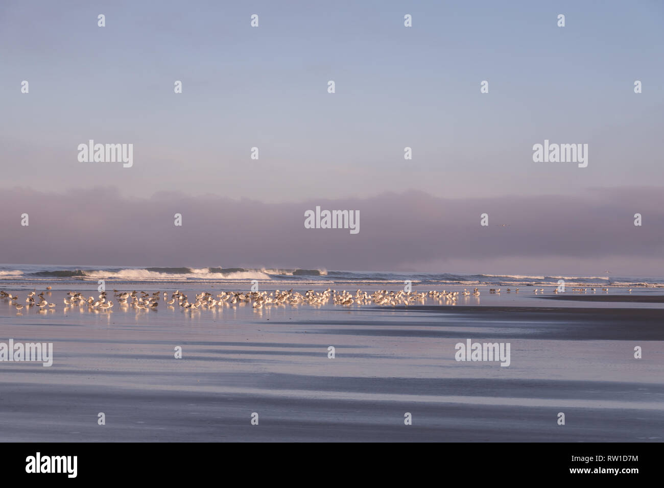 Der Olympische National Park ist eine wilde, weiten Wildnis der Natur von ihrer besten Seite. Der Pazifischen Küste bietet unberührte Sandstrände, Seen und felsigen Küsten. Stockfoto
