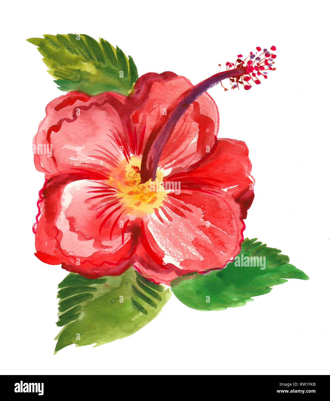 Red Hibiscus Blüte mit grünen Blättern. Aquarell Malerei Stockfoto