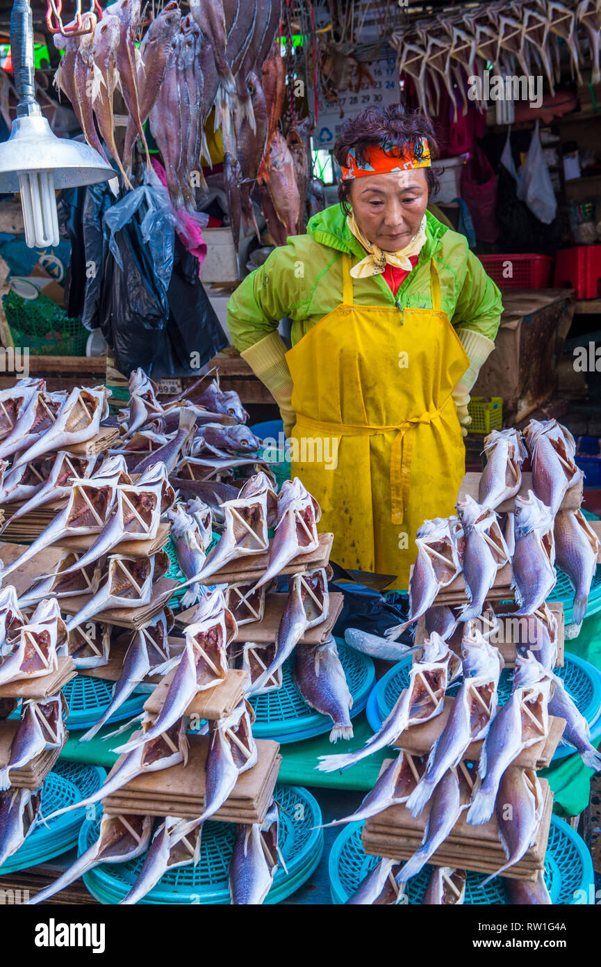 Der Jagalchi Fischmarkt in Busan Südkorea Stockfoto