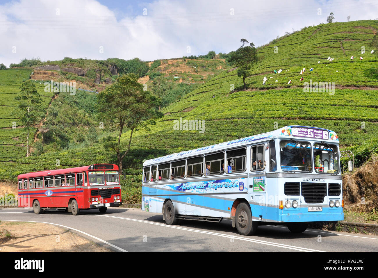 Sri Lanka, Nuwara Eliya, Local Bus Stockfoto