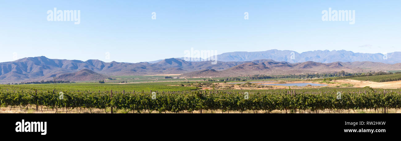 Robertson Valley, Route 62, Breede River Valley, Western Cape Winelands, Langeberg Mountains, südlich Afrcia, Panorama der Weinberge und Berge Stockfoto