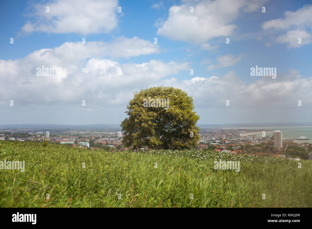 Beachy Head Eastbourne England Stockfoto