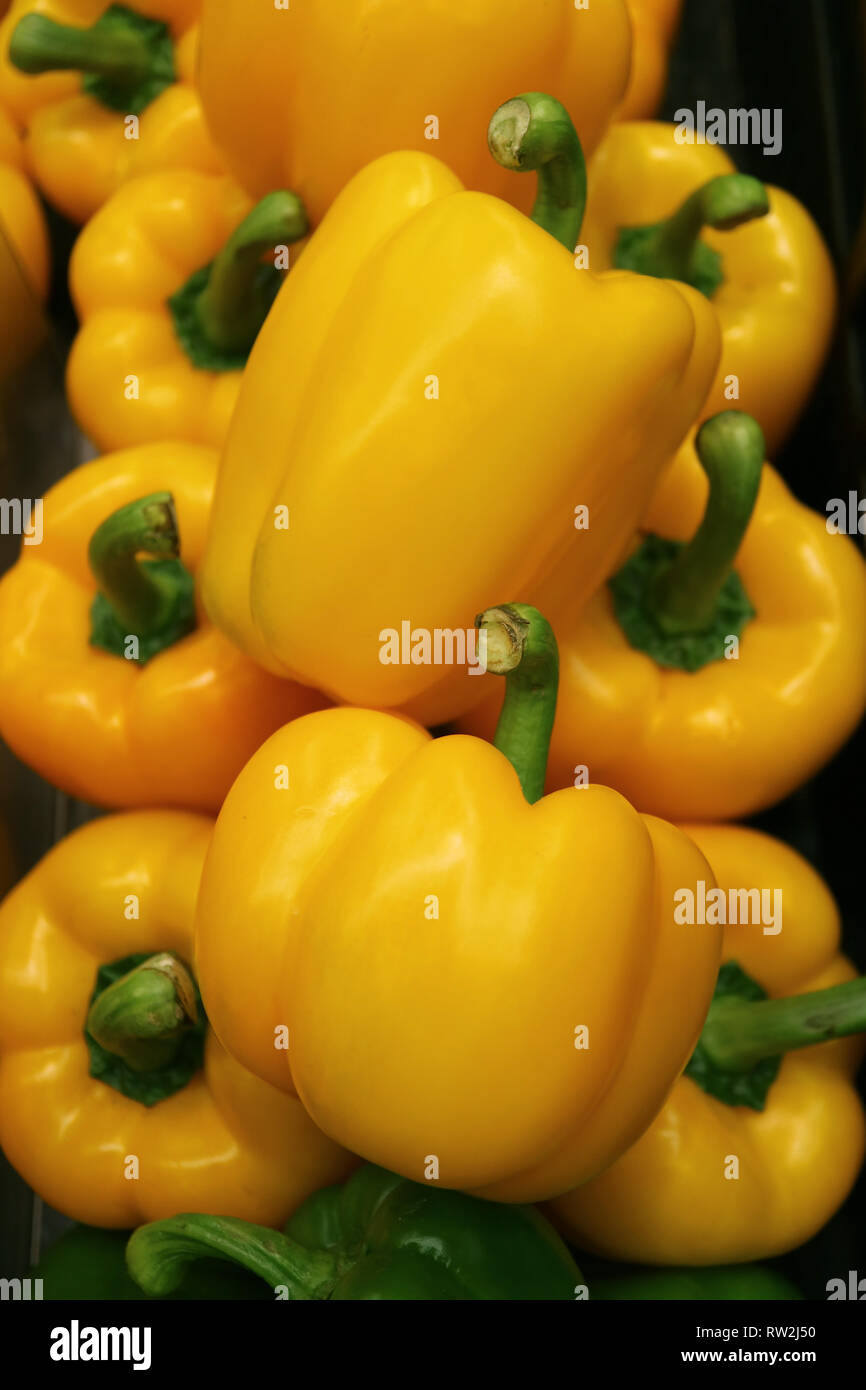 Vertikale Bild der Haufen der lebendige gelb Frische reife Bell - Paprika mit grünen Stengeln Stockfoto