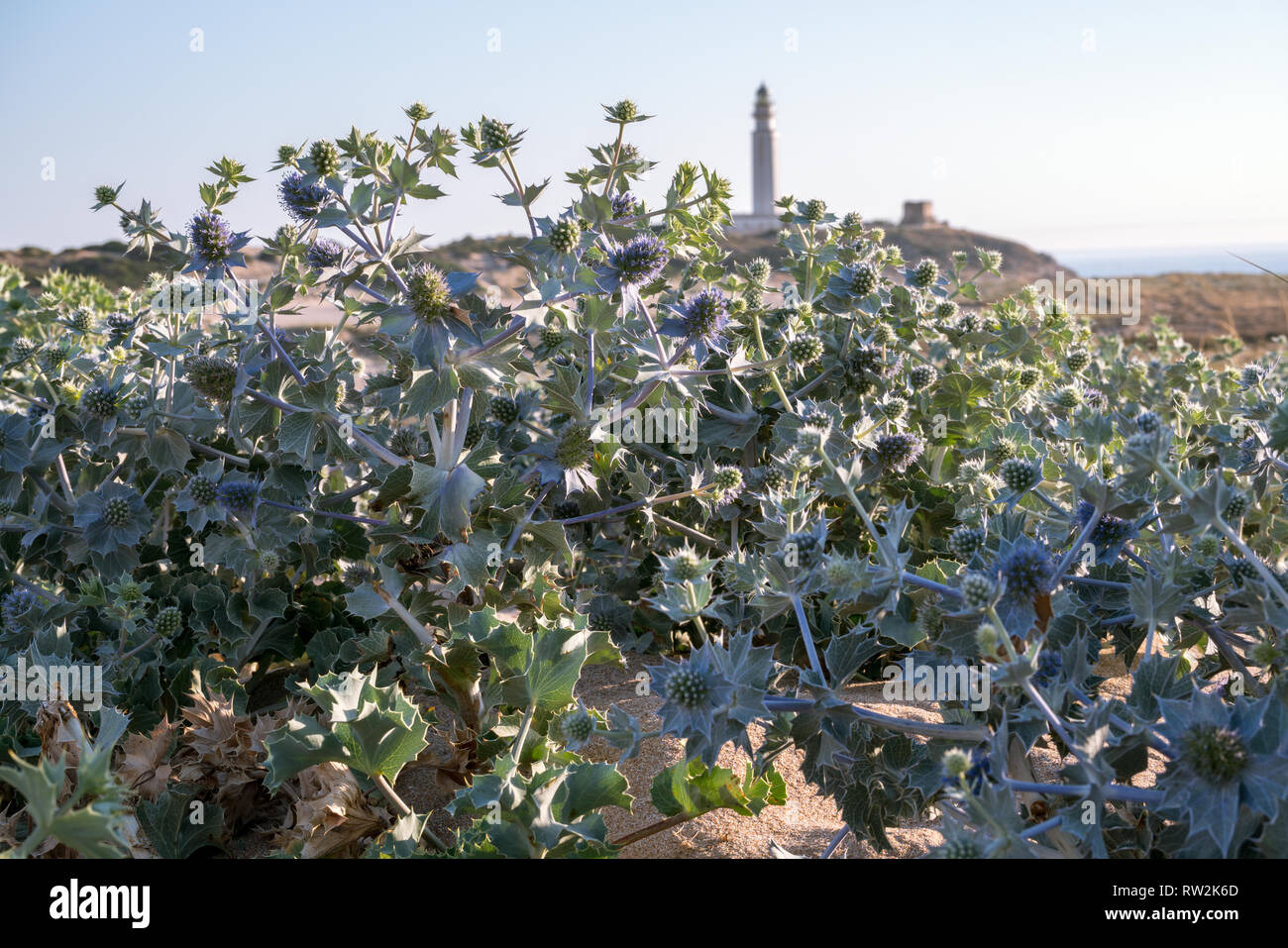 Kap Trafalgar in Andalusien, Spanien Stockfoto