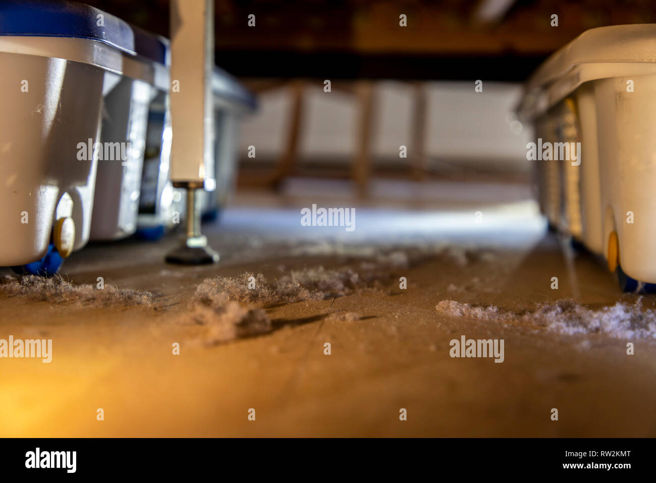 Hausstaub, Wollmäuse, Staubknäule, illustr. sich unter einem Bett  Stockfotografie - Alamy