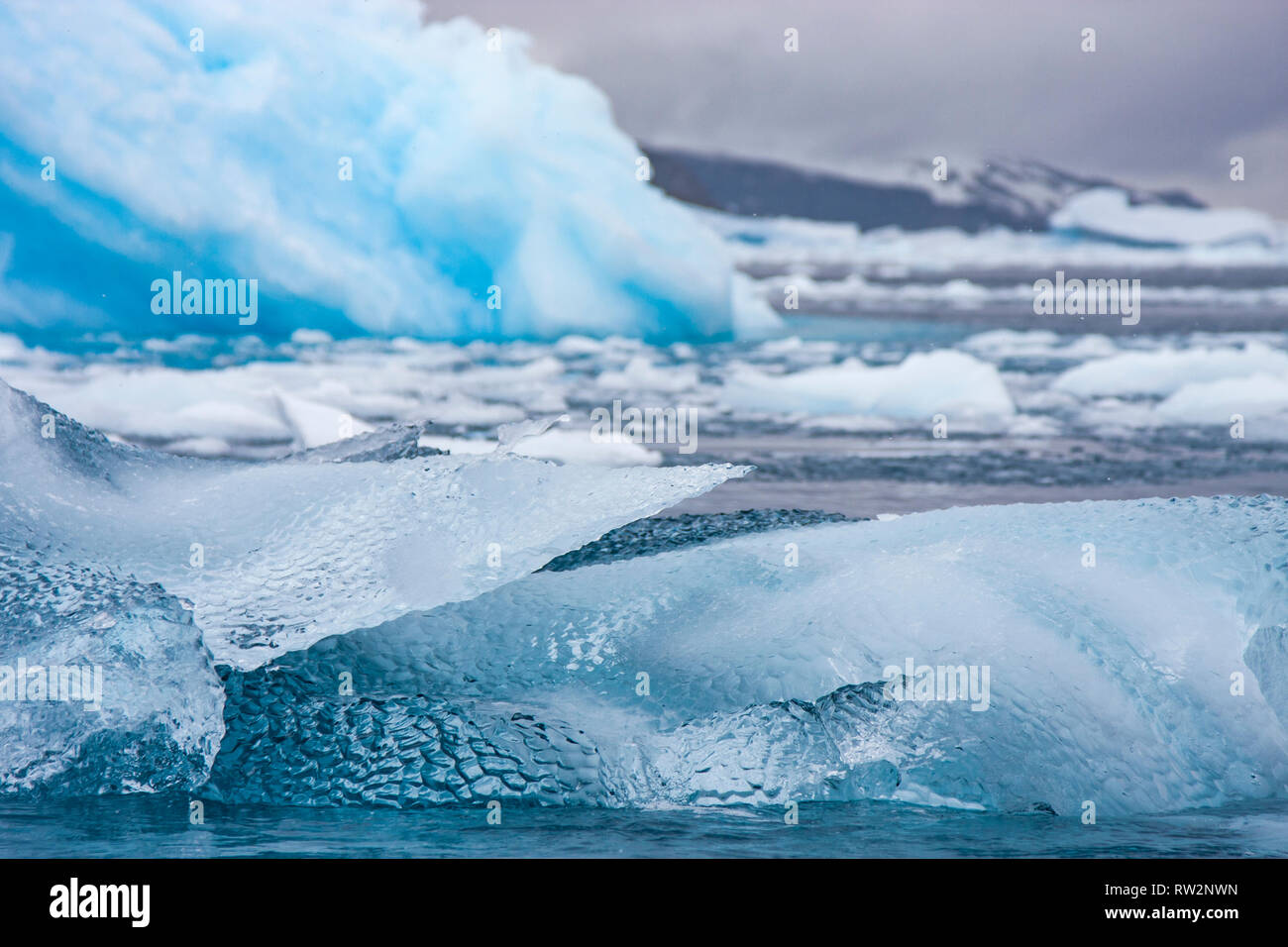 Schmelzende Eisberge in antarktischen Gewässern Stockfoto