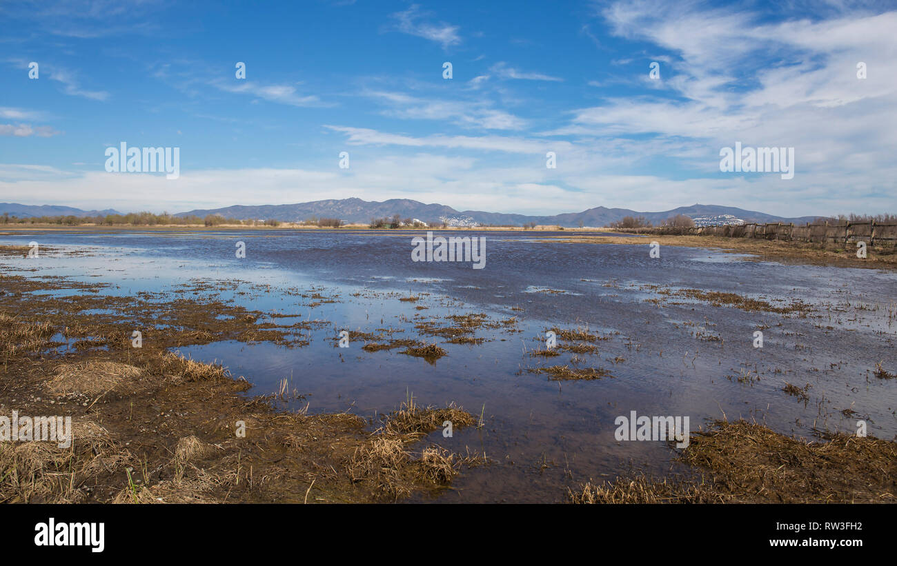 Landschaft der Reisfelder im Naturpark von Las Marismas del Ampurdán mit Reflexion der Wolken im Wasser, Girona, Katalonien, Spanien Stockfoto