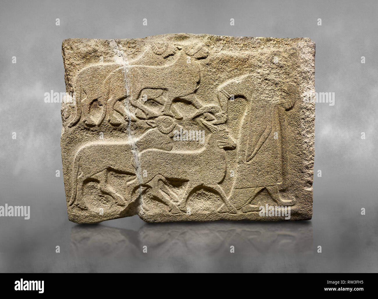 Alaca Hoyuk Sphinx Tor Hethiter monumentale Relief orthostat Panel aus Stein gemeißelt. Eine Abbildung, die Opfertiere. Anatolische Zivilisationen Muse Stockfoto