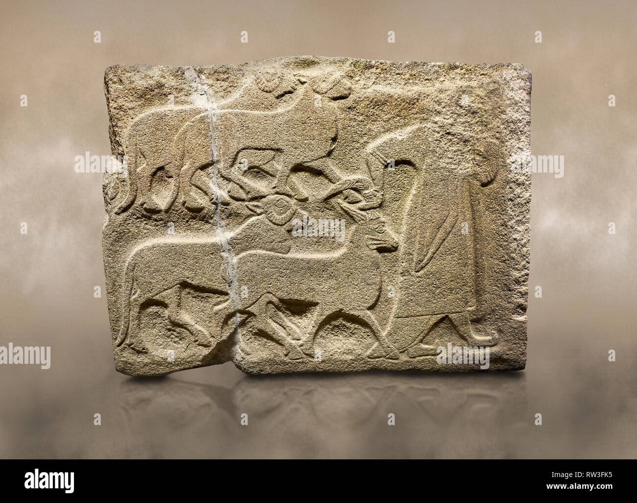 Alaca Hoyuk Sphinx Tor Hethiter monumentale Relief orthostat Panel aus Stein gemeißelt. Eine Abbildung, die Opfertiere. Anatolische Zivilisationen Muse Stockfoto