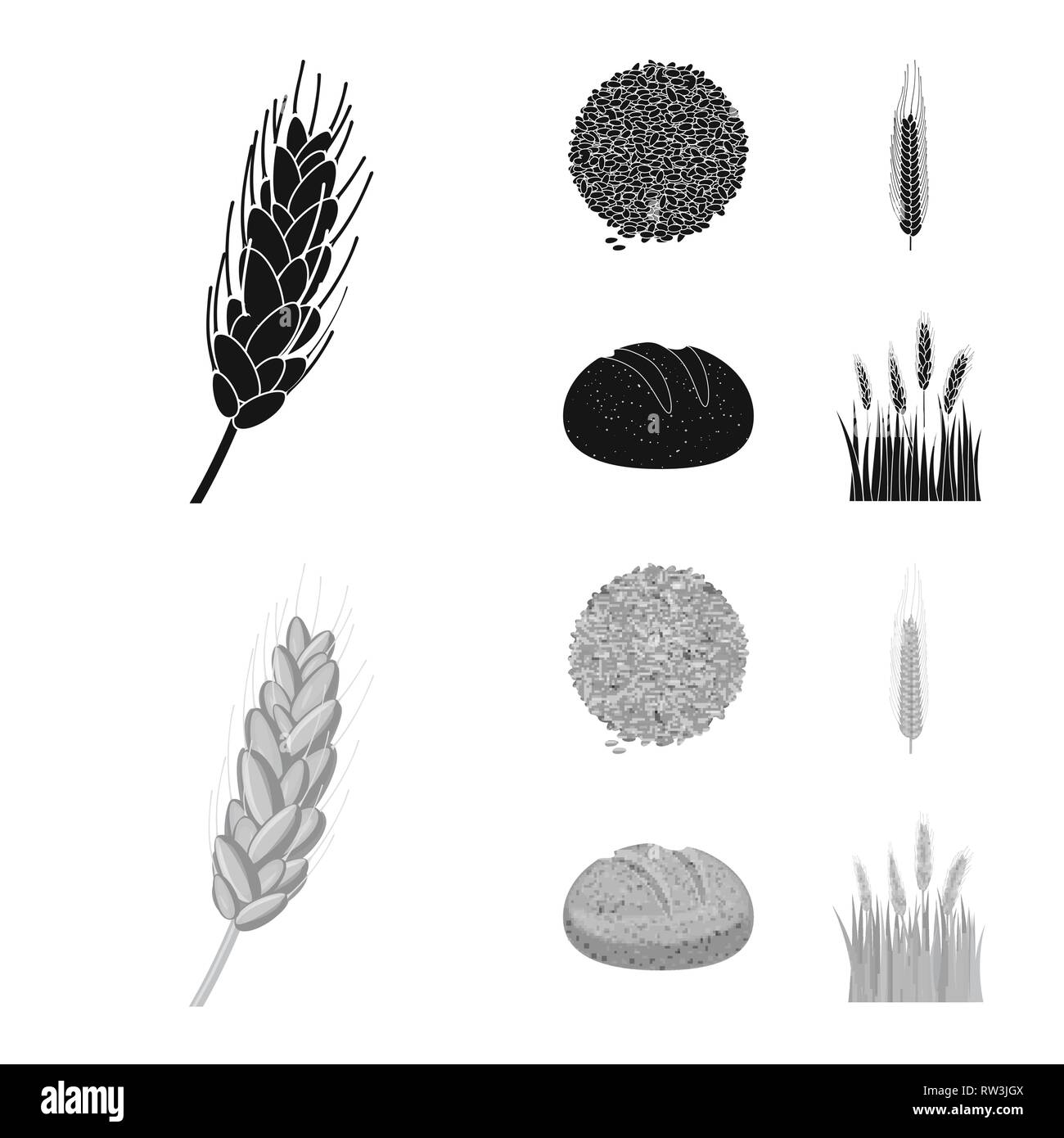 Feder, Brot, Spike, Samen, Winter, Hartweizen, Gerste, Getreide, Mehl, Nahrung, Land, Saatgut, Getreide, Frühstück, Maisfeld, Ohr, bun, Kleie, gesund, auf dem Land, golden, Stroh, Laib, Herbst, ländlichen, Wiese, Snack, Reif, Gold, Hafer, Landwirtschaft, Landwirtschaft, Roggen, Weizen, Mais, Getreide, Ernte, Bauernhof, Feld, Set, Vector, Icon, Illustration, isoliert, Sammlung, Design, Element, Grafik, Vektor, Vektoren, Stock Vektor