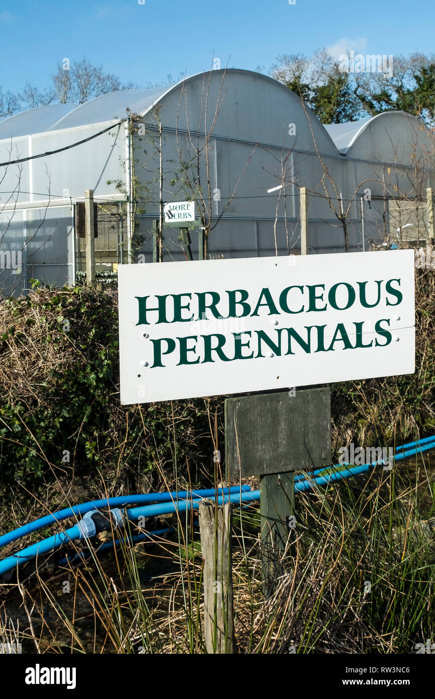 Ein Zeichen für die Stauden in einem Gartencenter in Cornwall. Stockfoto